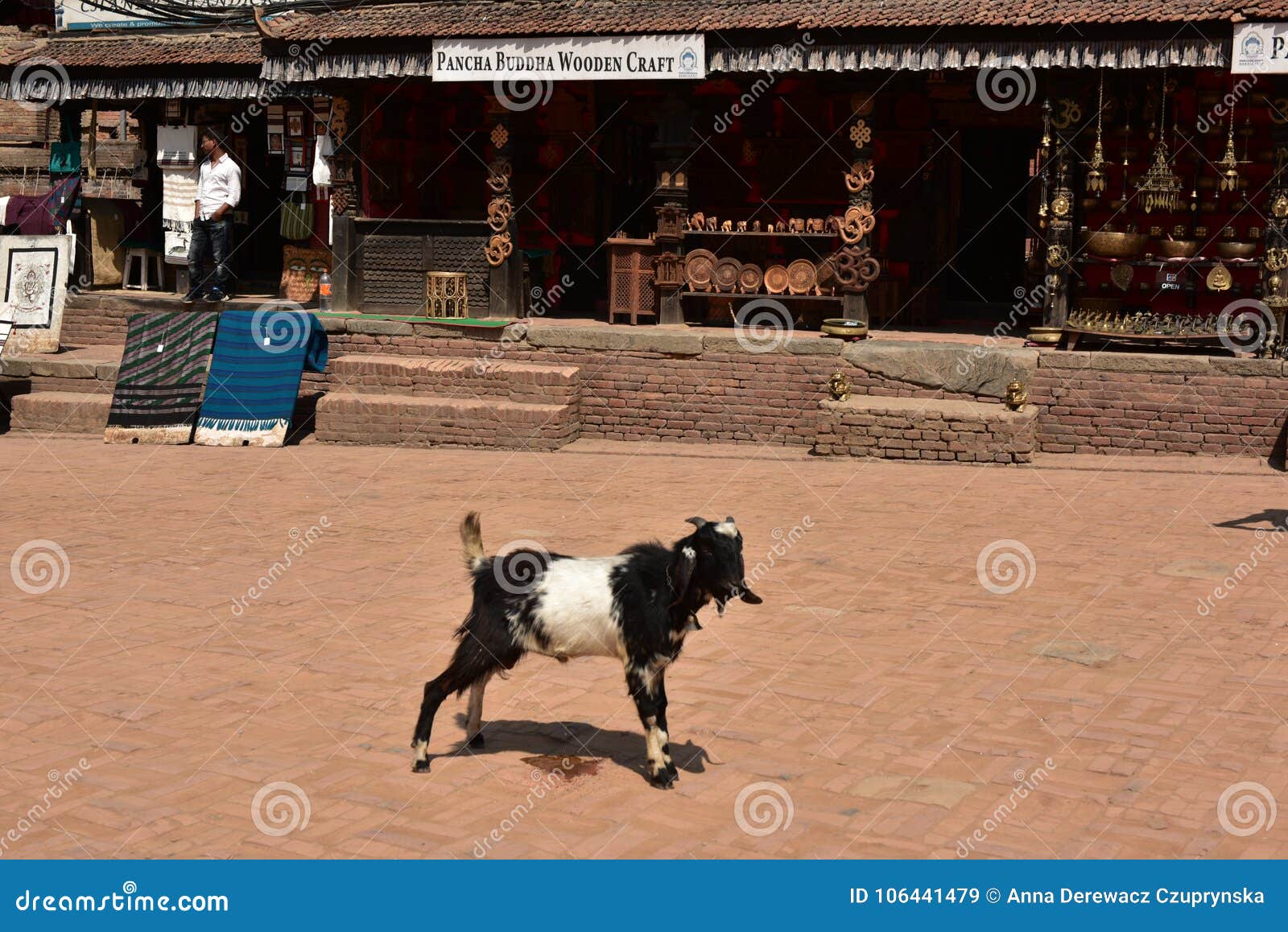 Nepal, Bhaktapur, Streets Full of Different Animals Editorial Stock Image - Image of species, streets: 106441479 Nepal, Bhaktapur, Streets Full of Different Animals Editorial Stock Image - Image of species, streets: 106441479