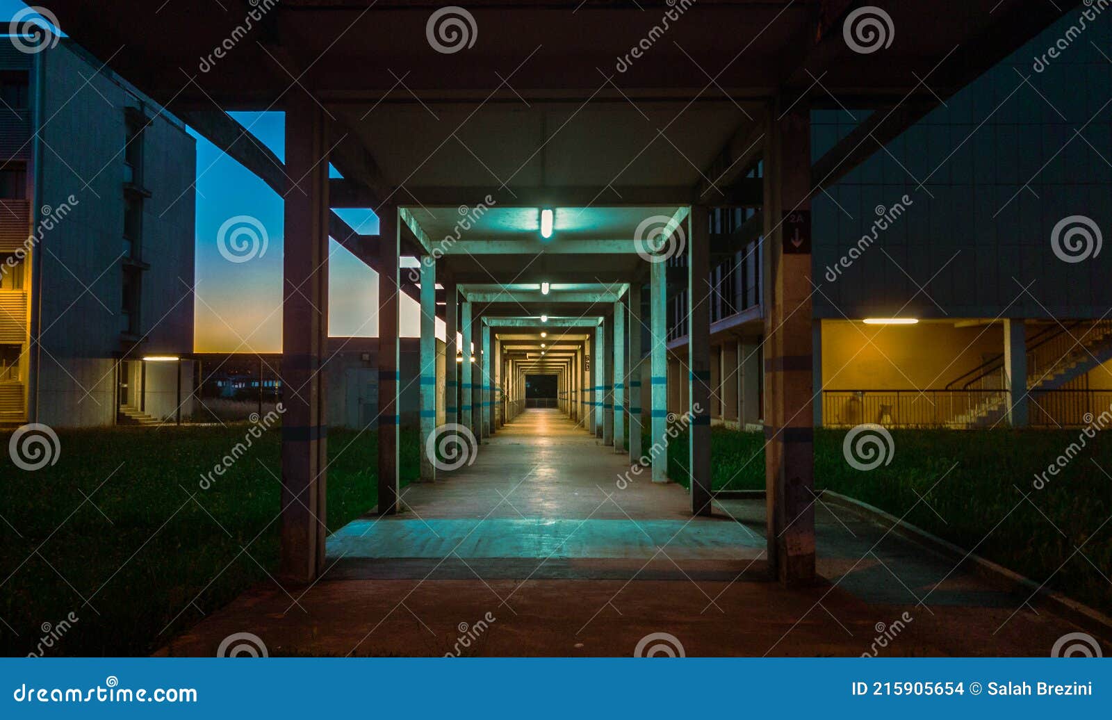 Hallway with Geometric Columns and Diminishing Perspective with Sunrise ...