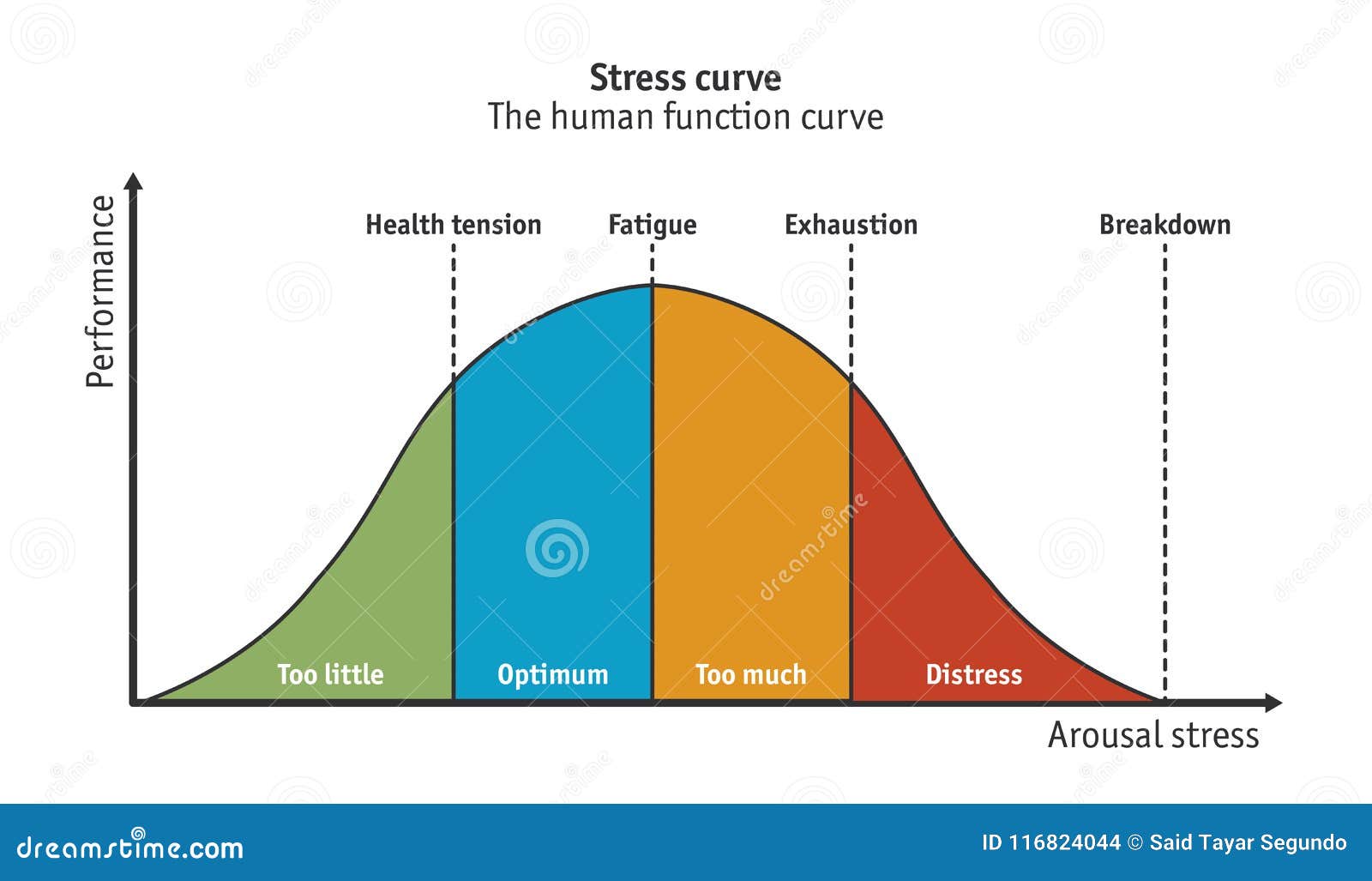 stress curve or human function curve - 
