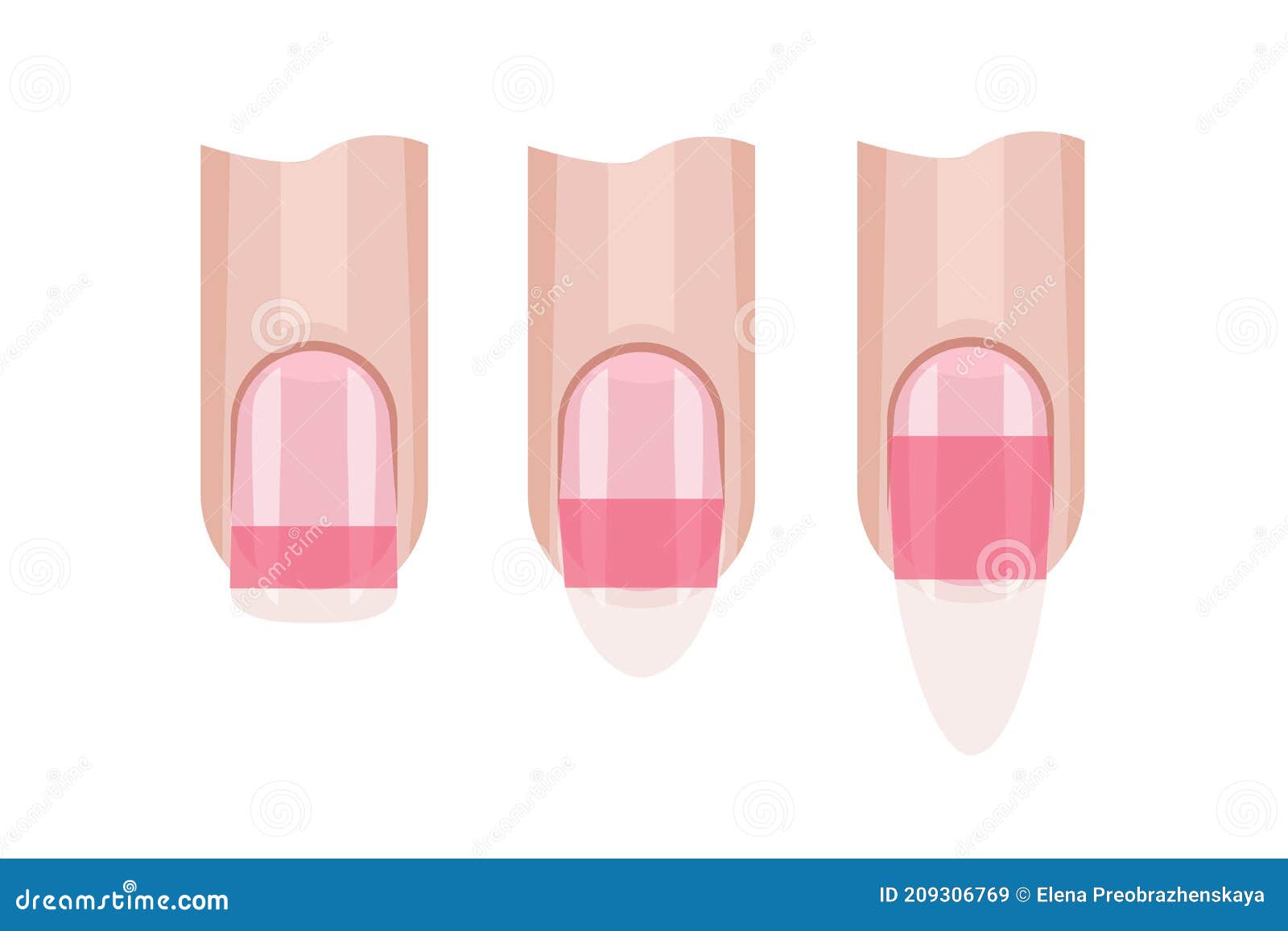 stress zone of the fingernail. nail length.  for the manicure guide. hand nail care . 