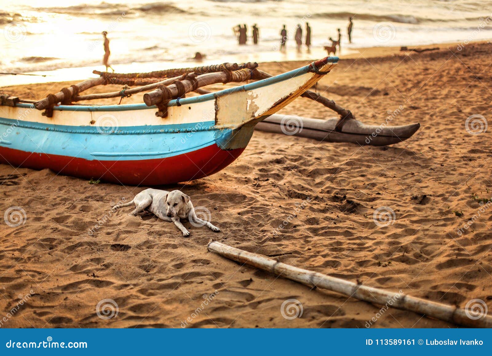 Streunender Hund, der auf den Strandsand, vor Fischerboot legt. Streunender Hund, der auf den Strandsand, vor Fischerboot mit unscharfen Schattenbildern von den Leuten spielen im Meer im Hintergrund legt Kalutara-Strand, Sri Lanka