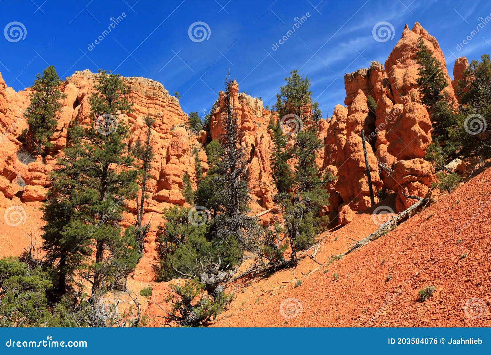 Sandstone Hoodoos And Bristlecone Pines In Southwest Desert Landscape Red Rock State Park Utah Usa Stock Photo - Image Of Garden Desert 203504076