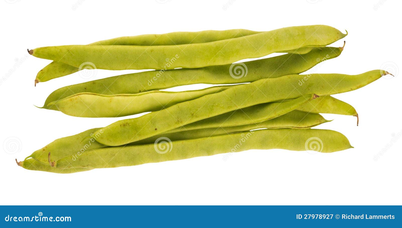 String beans stock image. Image of vegetables, natural 27978927