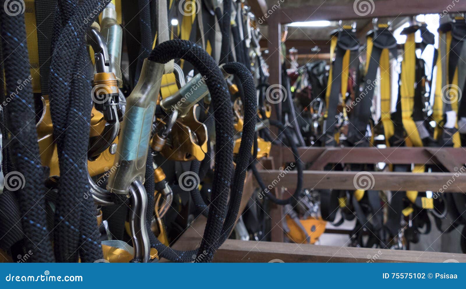 String Belt Safety Zipline Harness Stock Photo Image of belt, danger