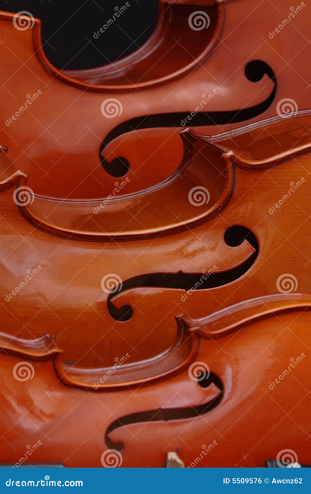 String family stock photo. Image of color, lifes, instrumental 5509576