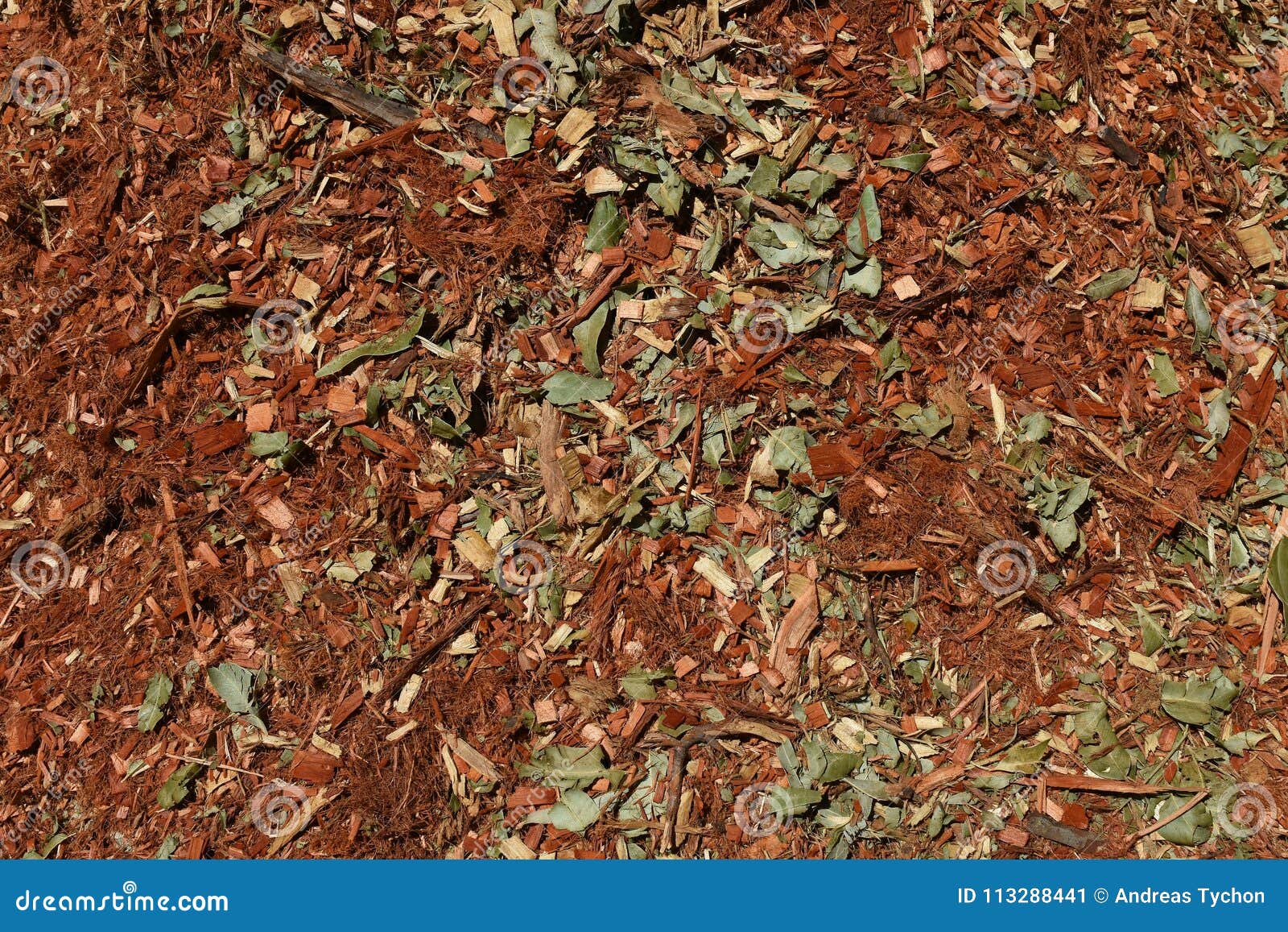 String Redgum Eucalyptus Mulch Textured Background Stock Image Image