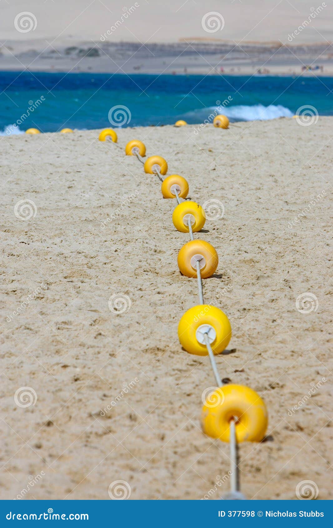 String of Yellow Marker Buoys on Sandy Beach Stock Photo - Image