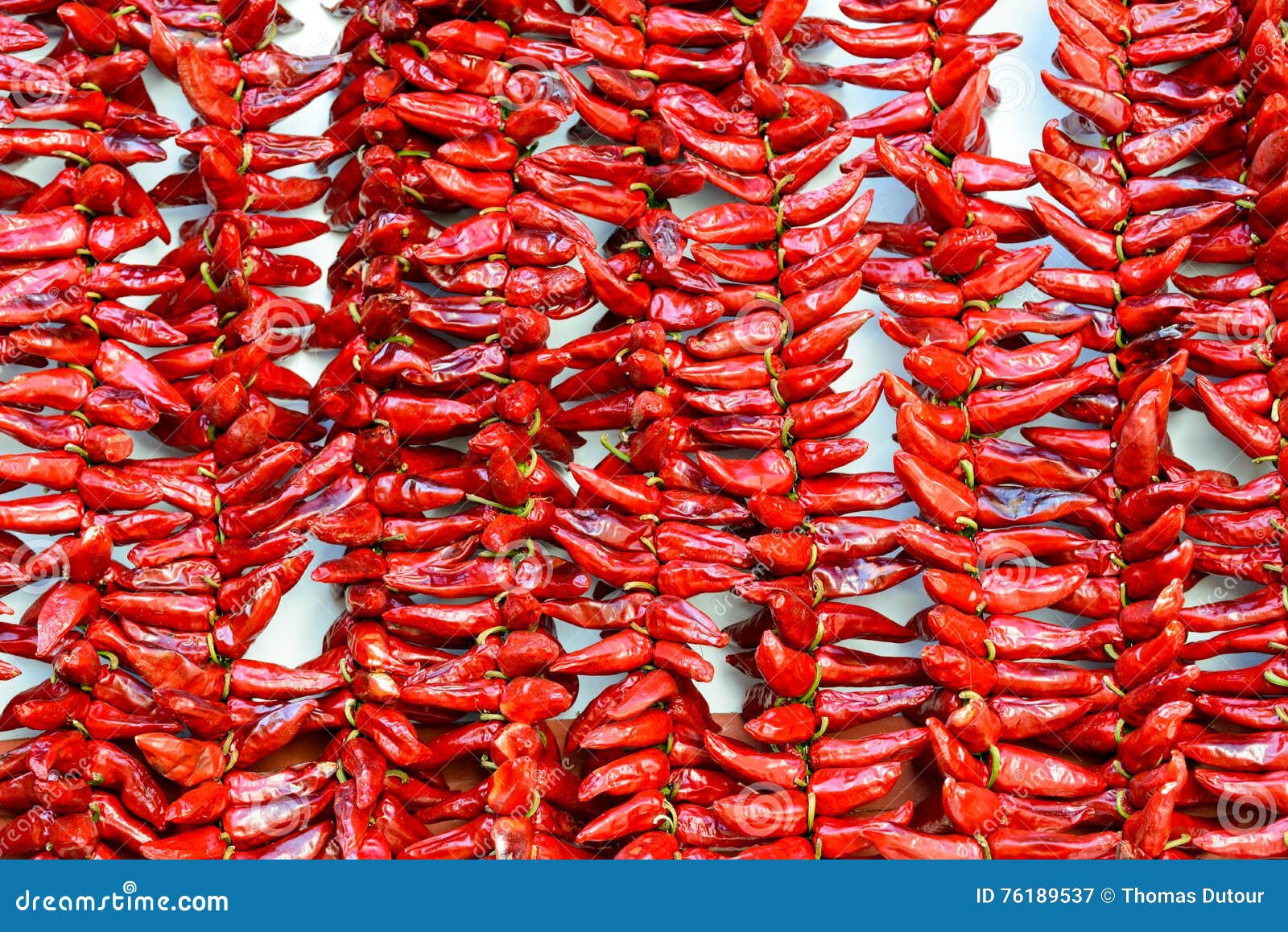 Strings of Espelette Peppers Drying Stock Image Image of espelette
