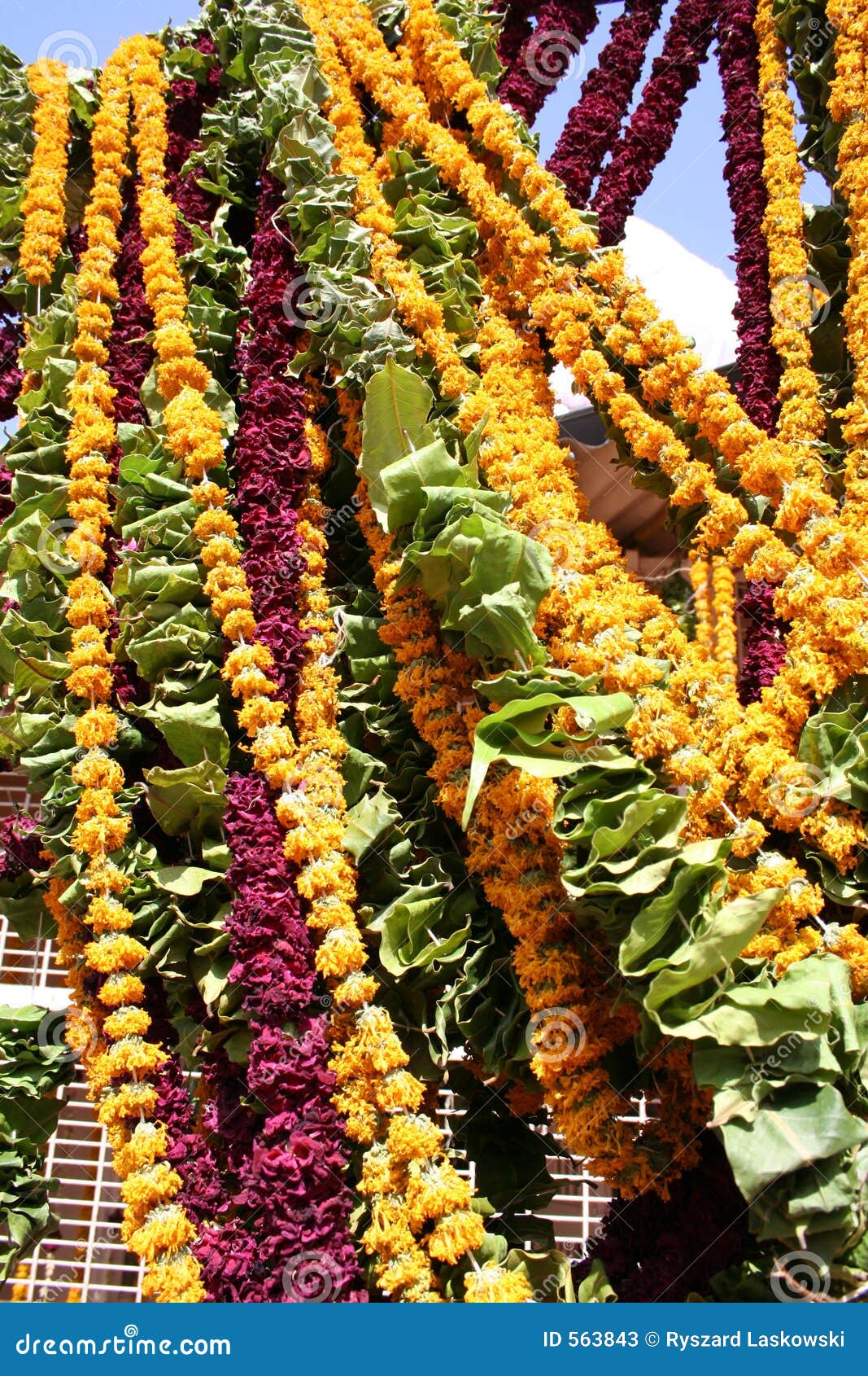 strings of flowers, jodhpur, strings of flowers, rajastan