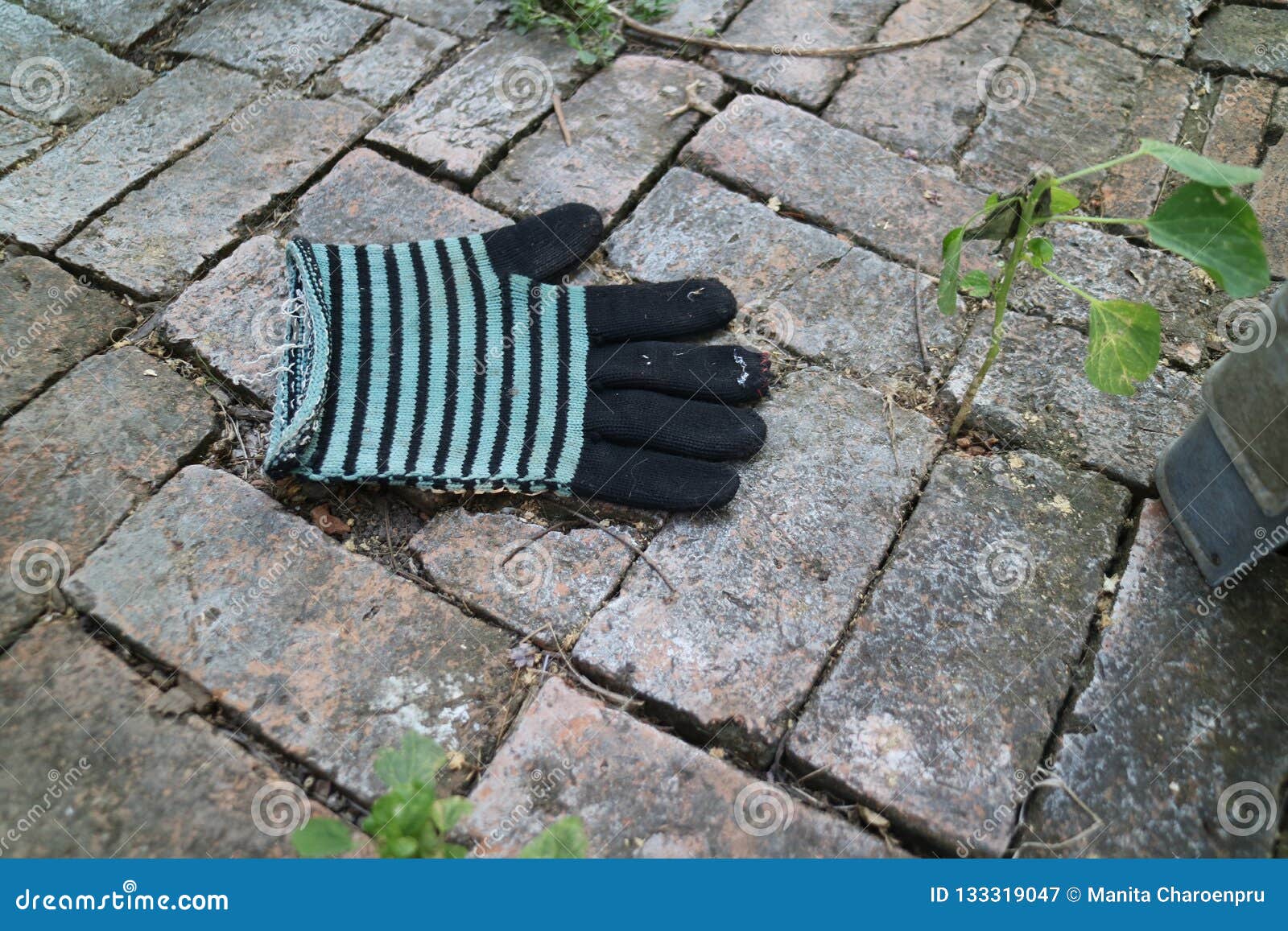 Strip Gloves Lay On Brick Floor Outdoor Stock Image Image Of