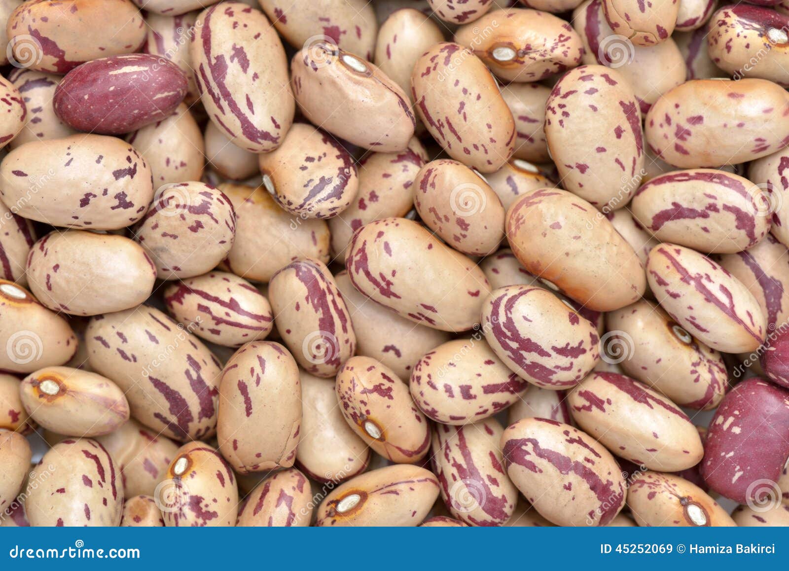 Striped beans stock image. Image of diet, nutrition, detail 45252069