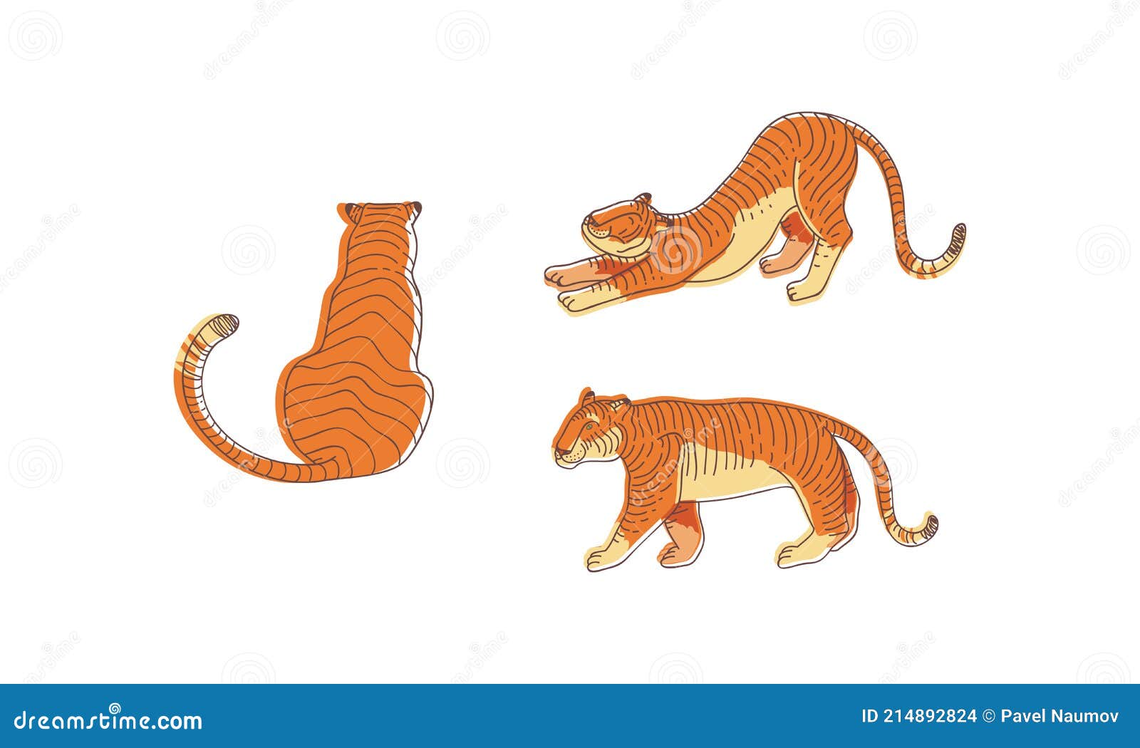 Of Different Animals Clipart Vector, Tiger With Different Poses In