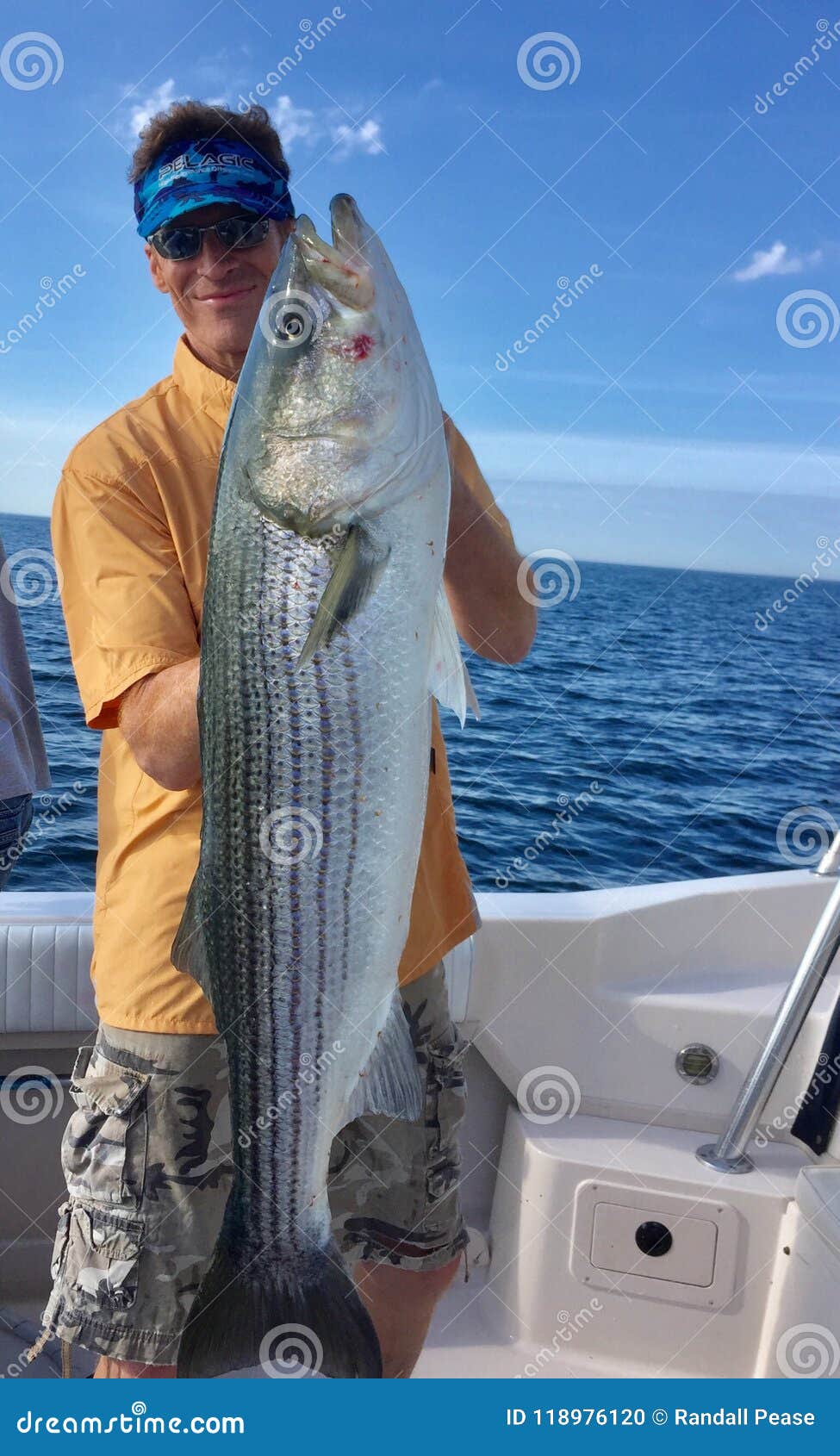 Striper Fishing Stock Photos - Free & Royalty-Free Stock Photos from  Dreamstime