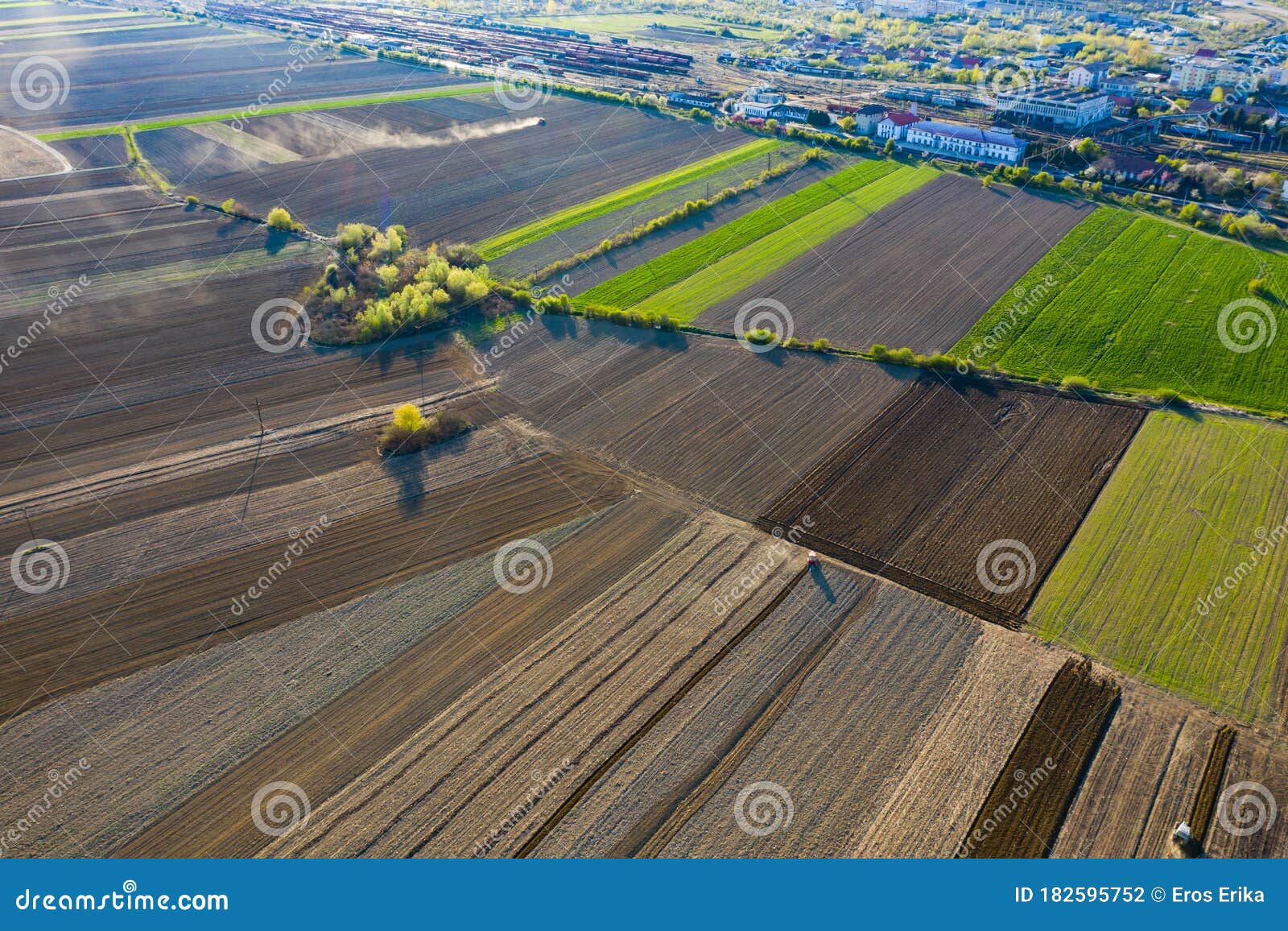 Stripes of Agricultural Parcels of Different Crops Stock Photo - Image ...
