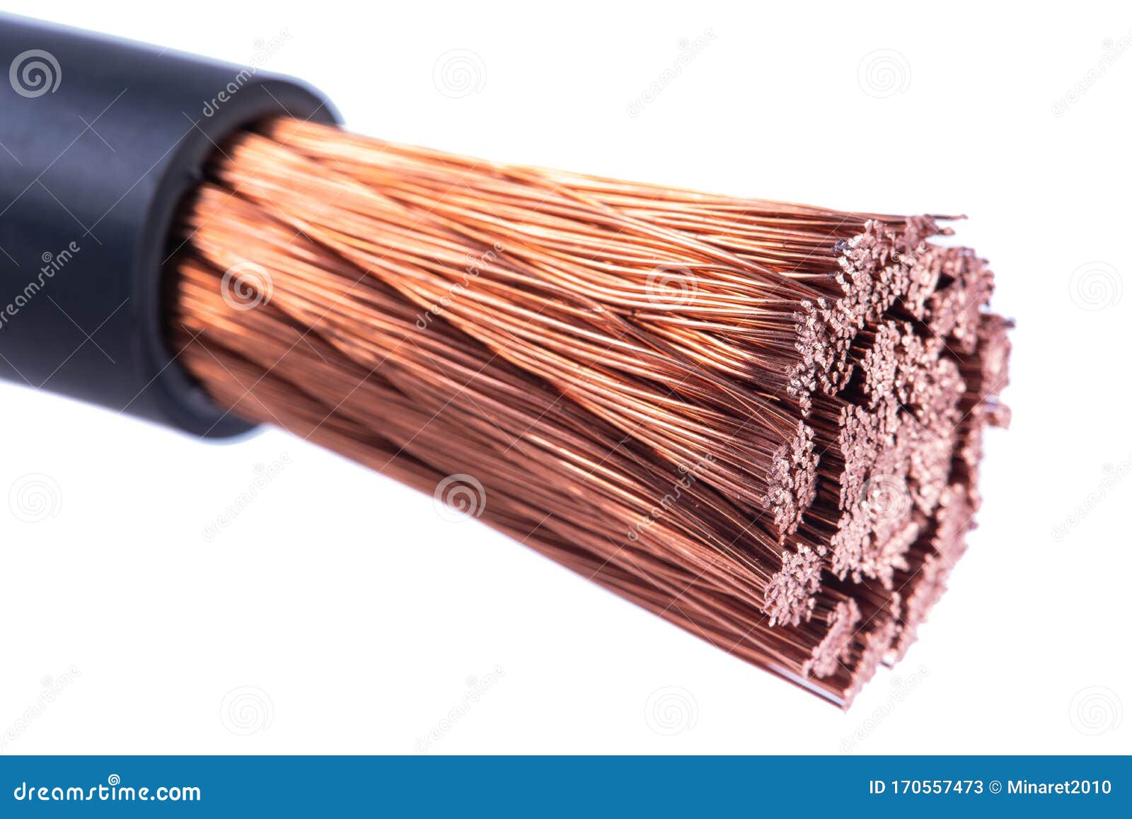 Stripped High Voltage Copper Cable Isolated on White Stock Image