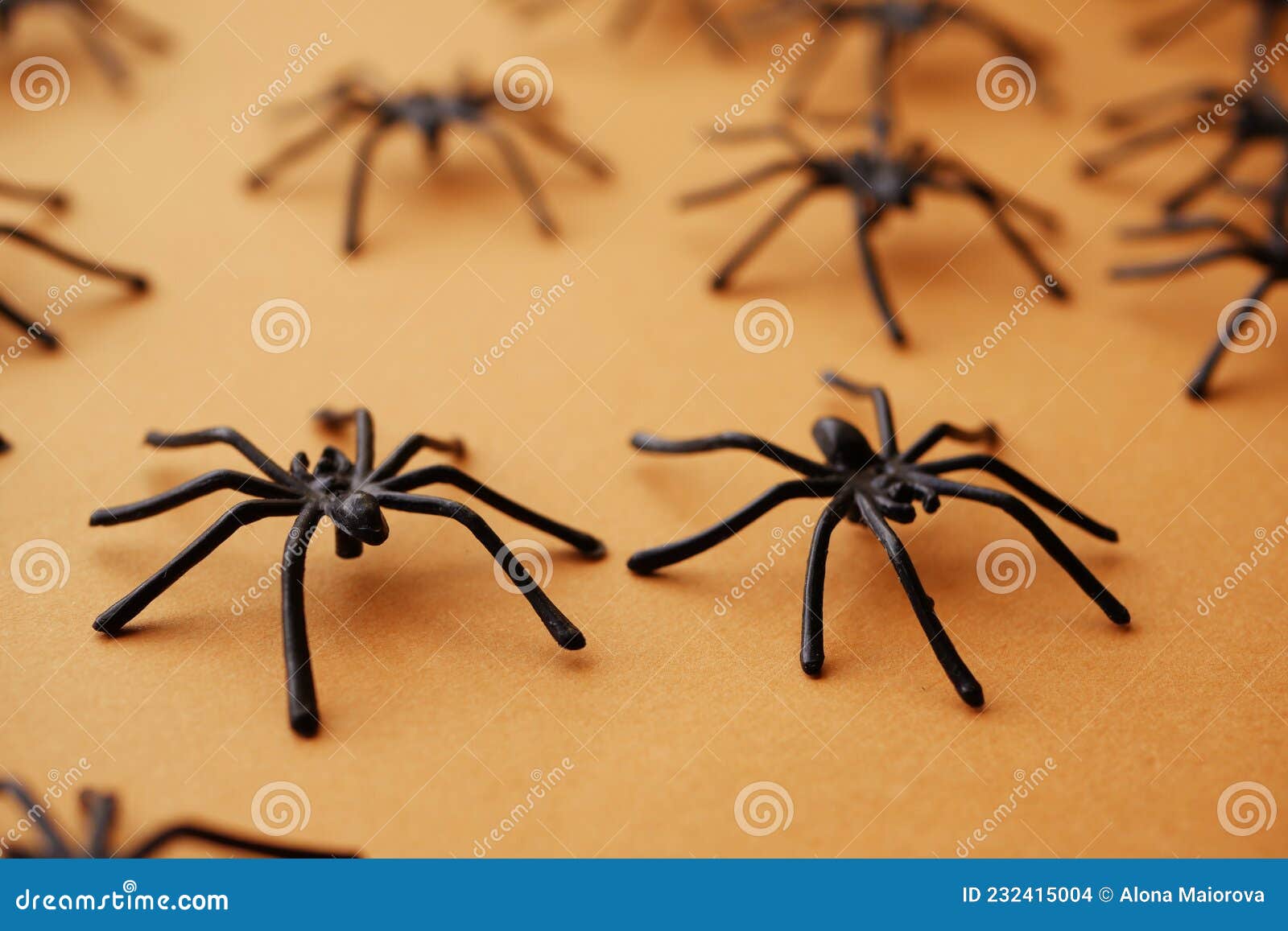 Striscione Di Halloween. I Ragni Si Chiudono Fotografia Stock - Immagine di  bandiera, falsificazione: 232415004