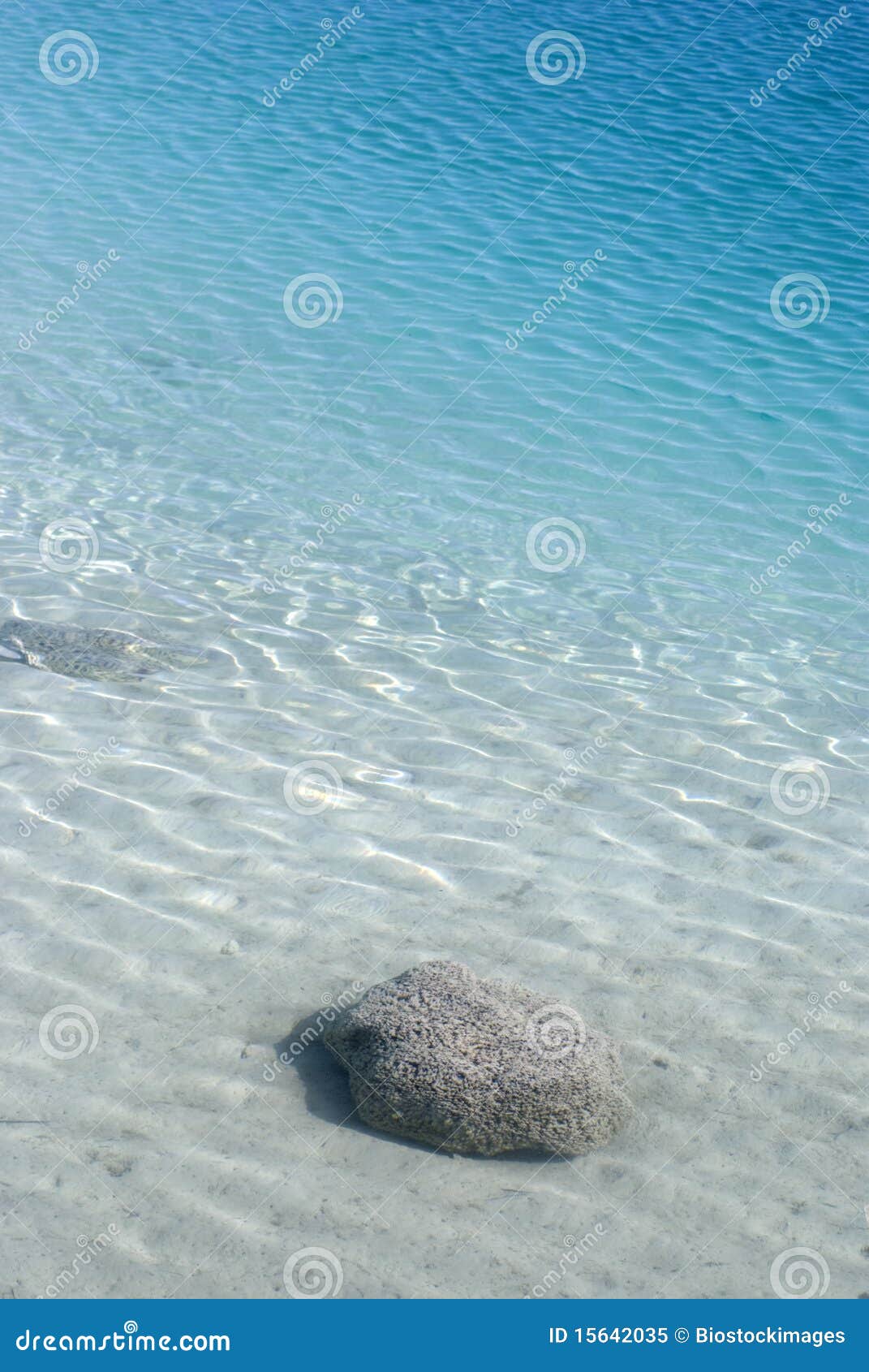 stromatolite reef cuatro cienegas mexico