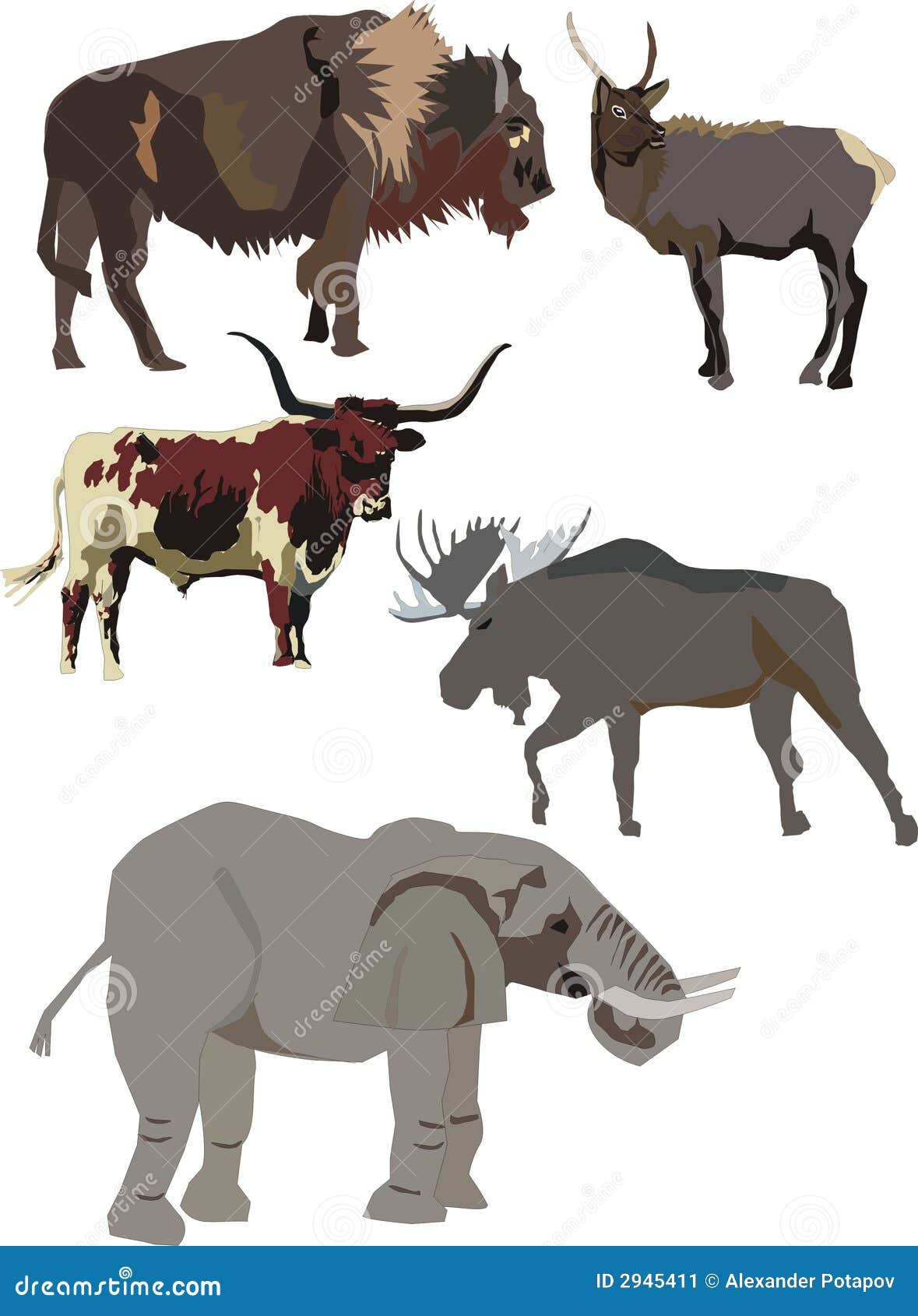 Strong Animals Collection Stock Image Image 2945411