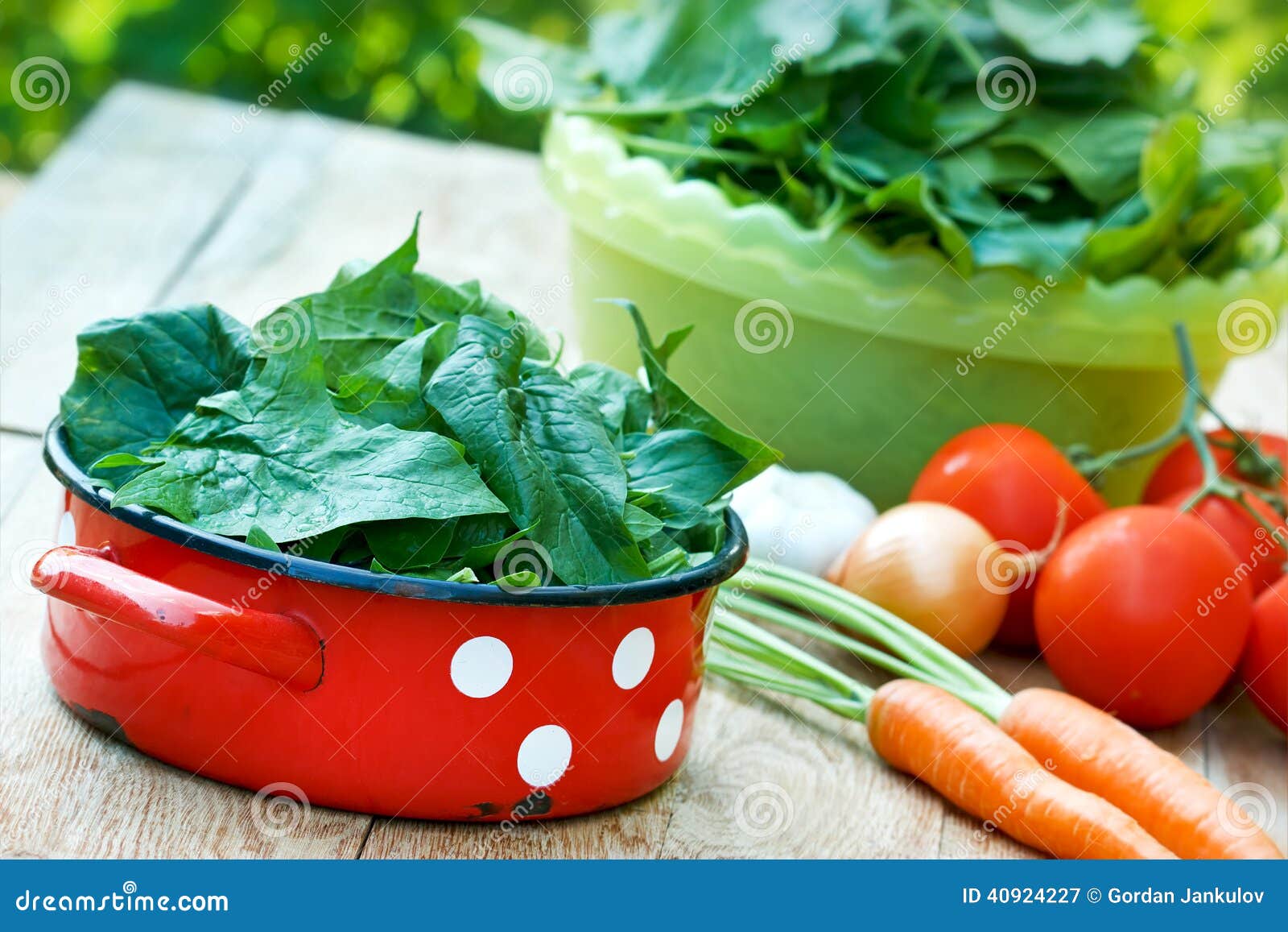 Strong Antioxidant Spinach Stock Image Image of onion, antioxidant