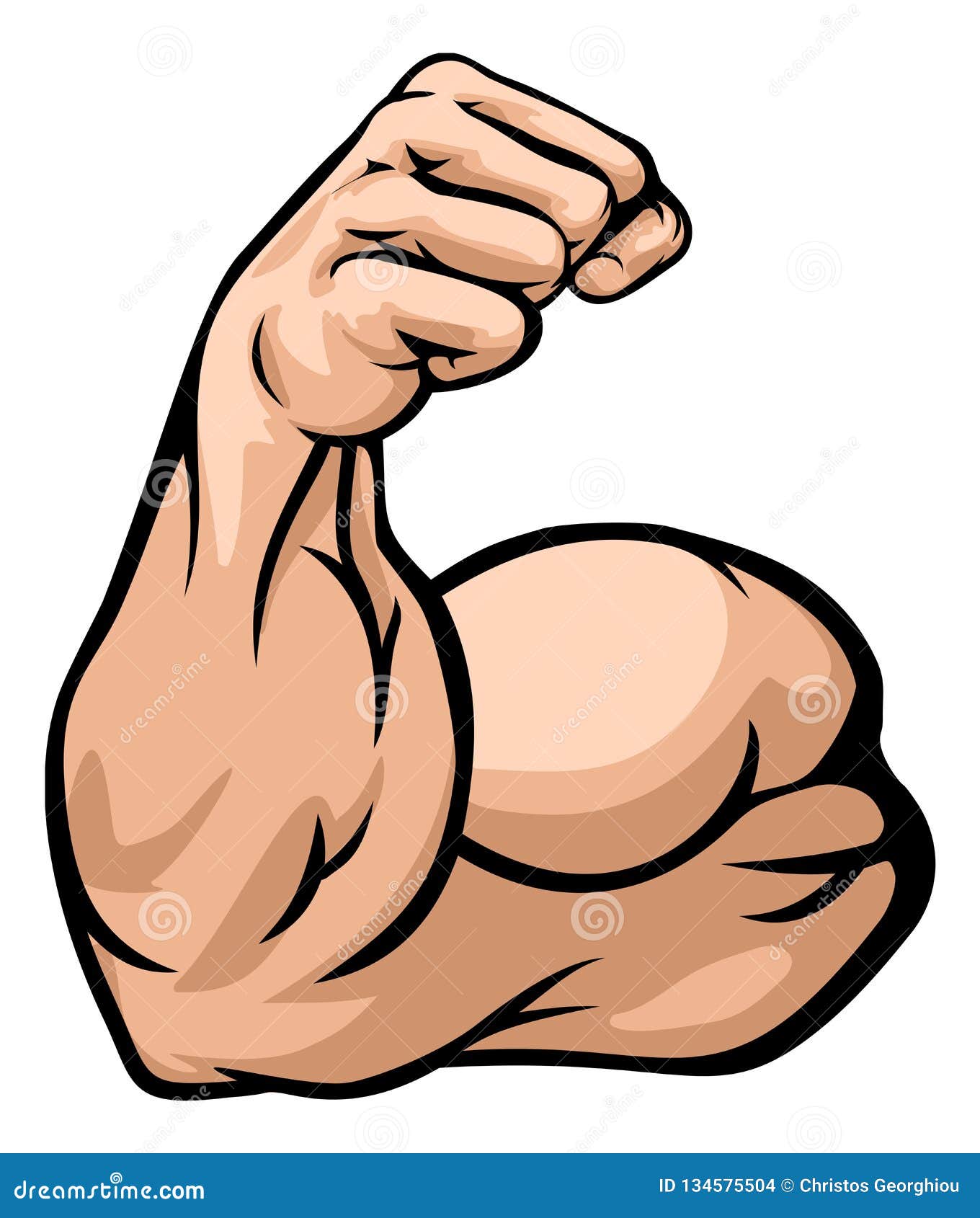 strong arm showing biceps muscle