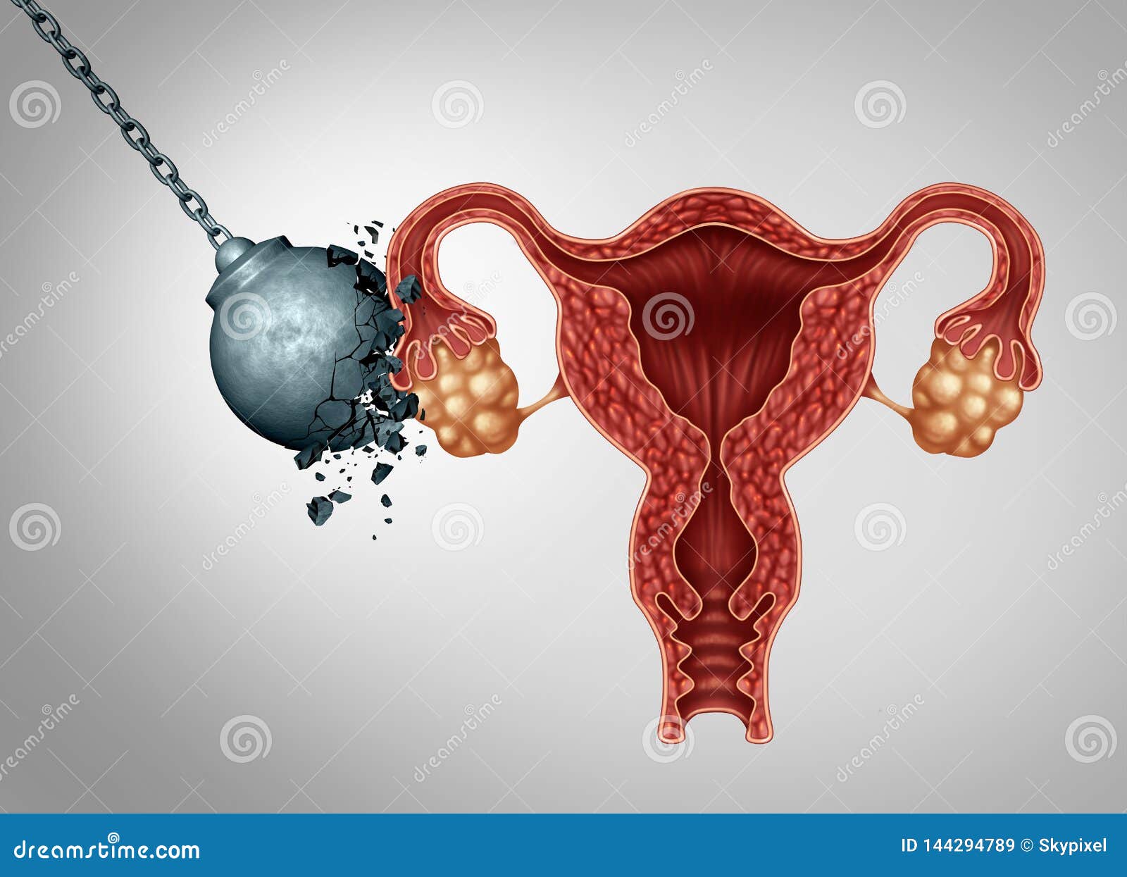 Fertility Stock Illustrations – 20,589 Fertility Stock Illustrations,  Vectors & Clipart - Dreamstime