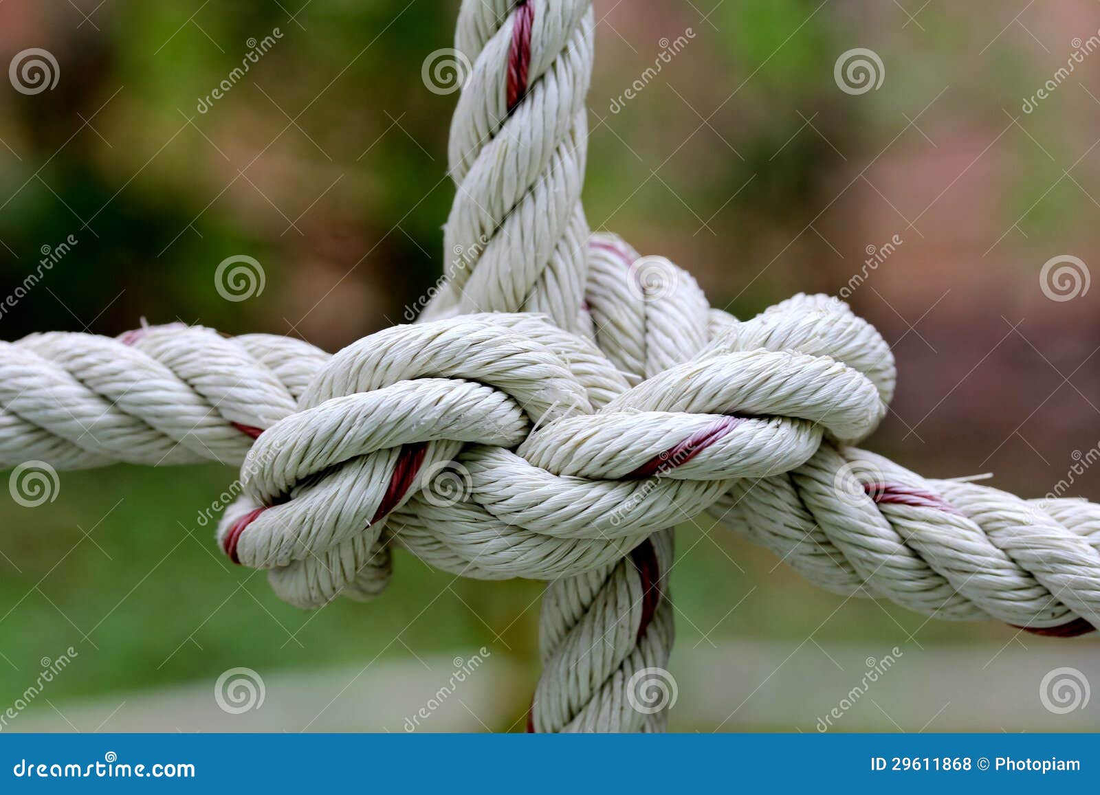Strong knot tied by a rope stock photo. Image of detail 29611868