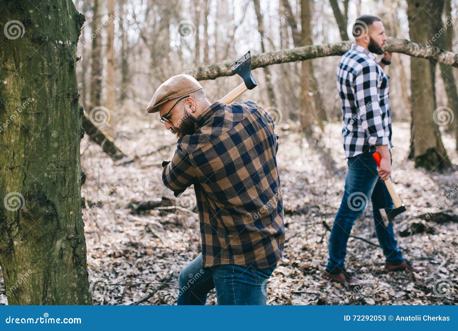 Strong Lumberjack Chopping Wood Stock Image Image of lumber, timber