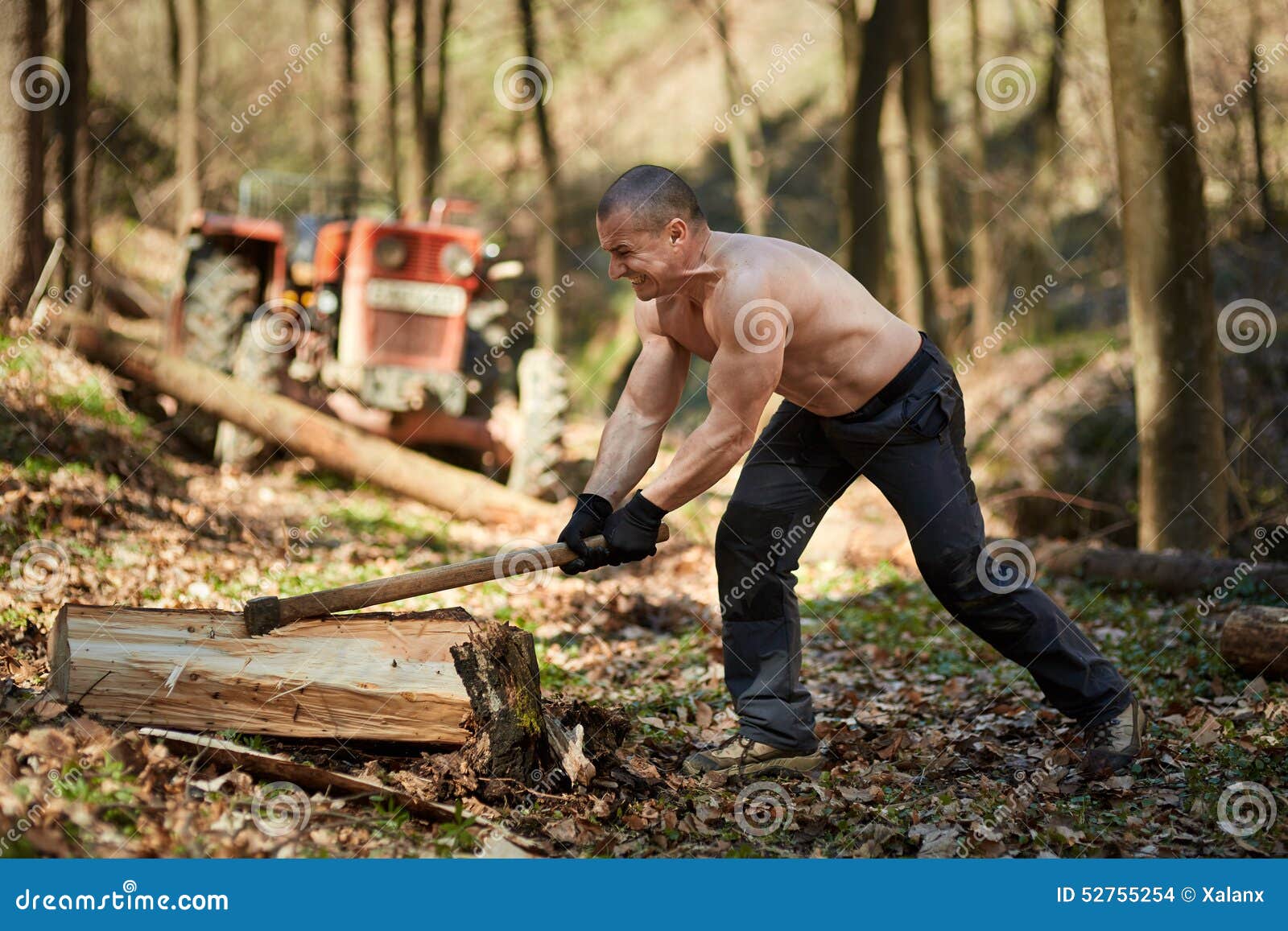 Wood Cutter Photos, Download The BEST Free Wood Cutter Stock Photos & HD  Images