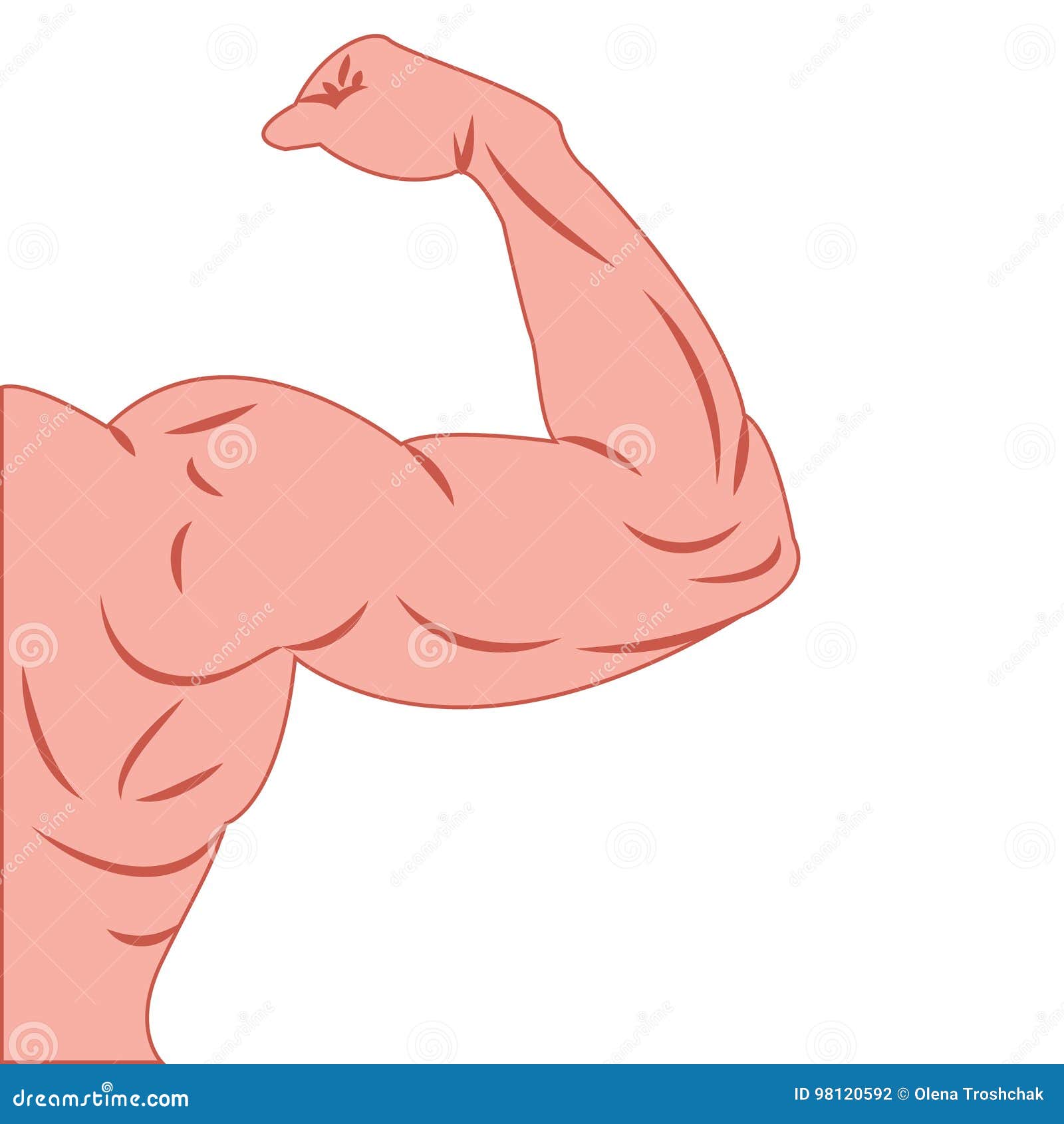 Strong Power Muscle Arms Vector Stock Vector - Illustration of design,  object: 98120592, image size:1600x1690