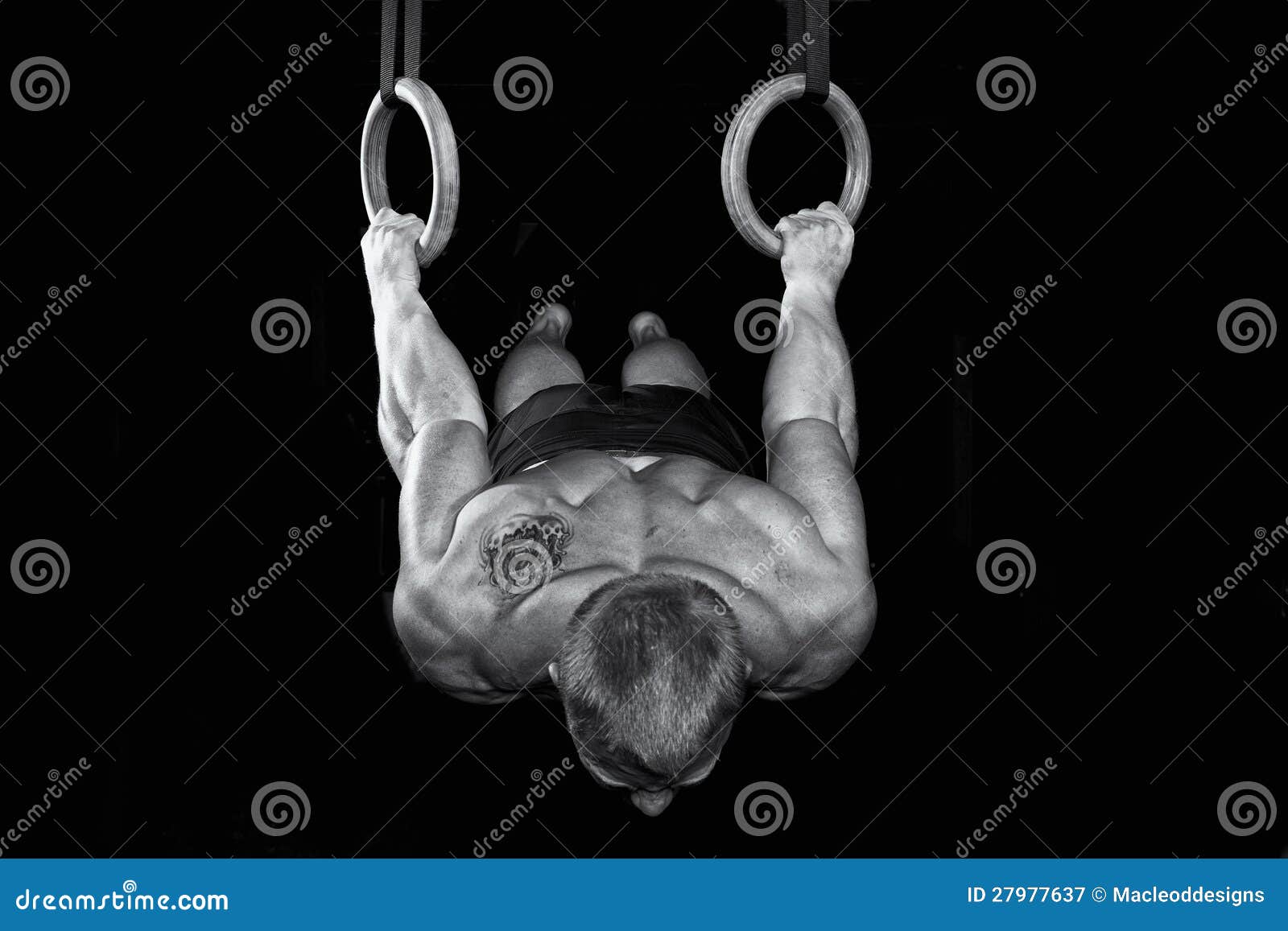 Strong Sexy Gymnast Works On The Rings Stock Image 27977611