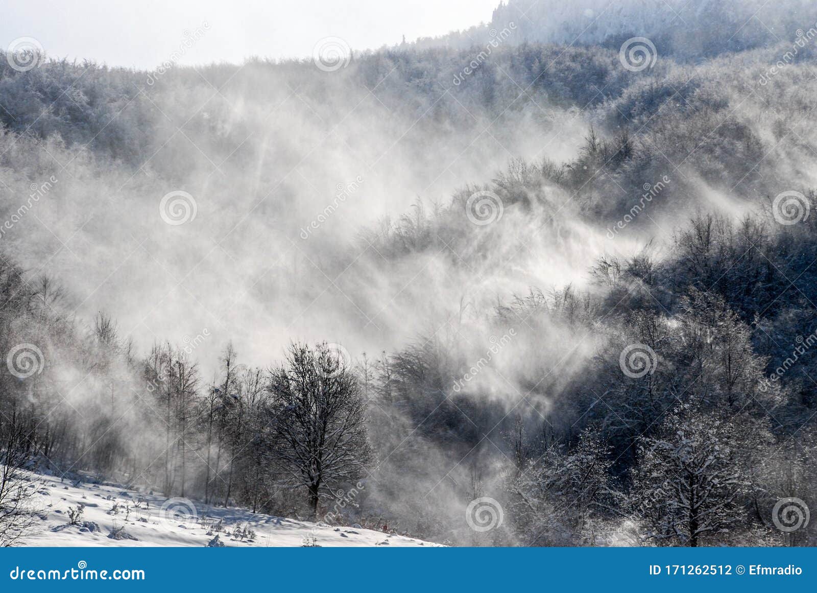 Winter Snowy In Hill Of Tree With Snowfall Background Design