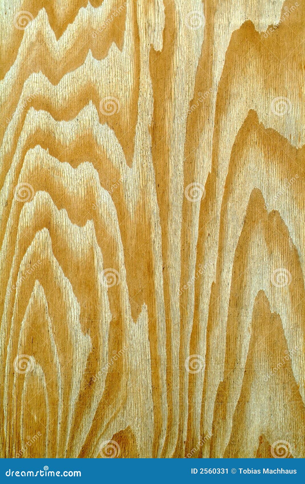 Strong wood grain stock image. Image of texture, lumber 2560331