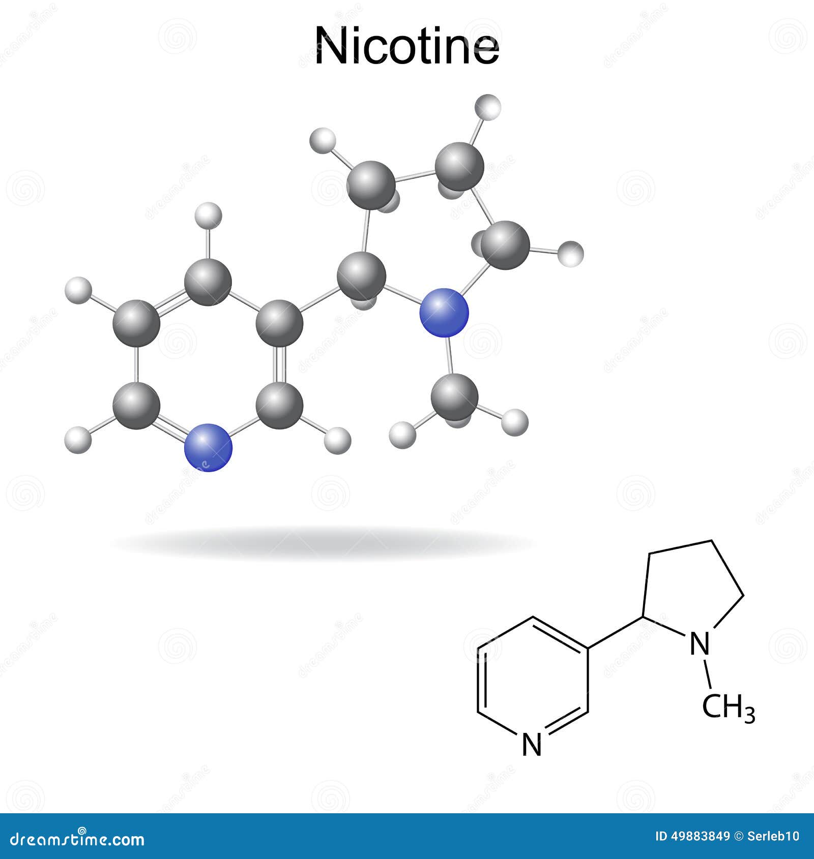 Structural Chemical Formula and Model of Nicotine Stock Vector