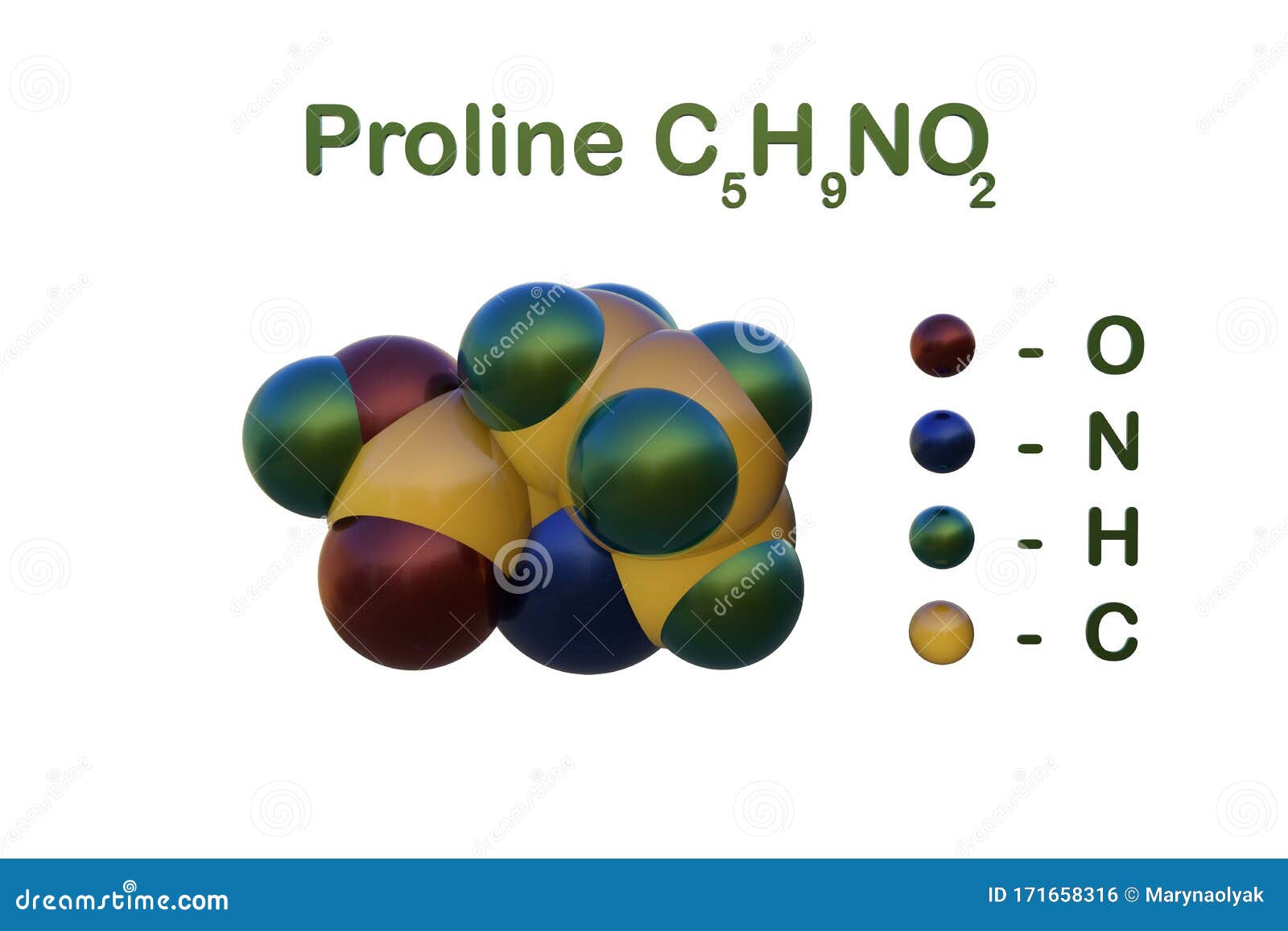 structural chemical formula and space-filling molecular model of proline. proline is used in the biosynthesis of