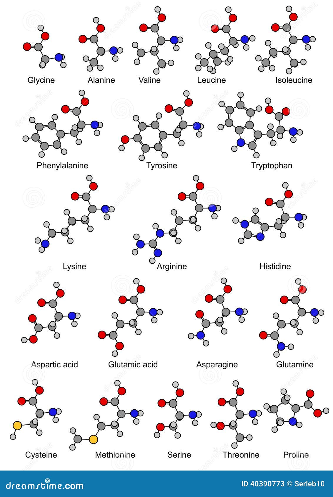 structural chemical formulas of twenty basic amino acids