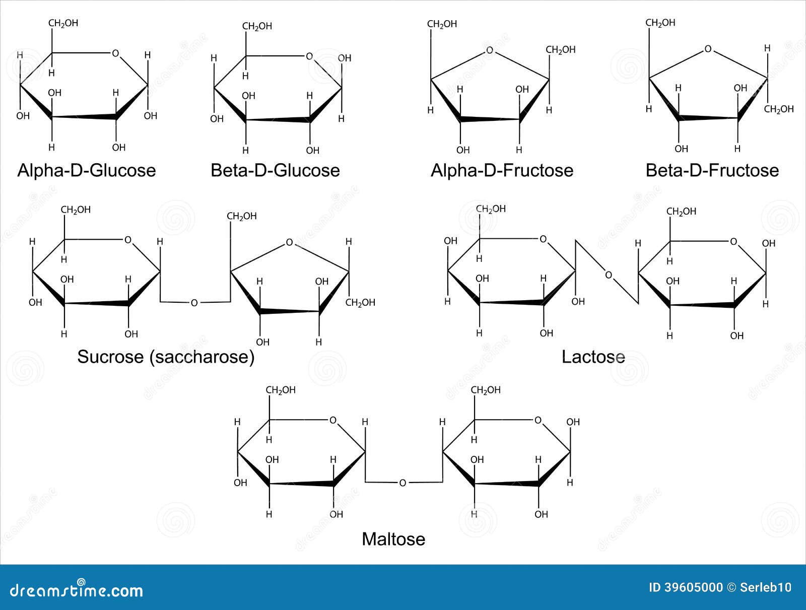 Video: Overview of Carbohydrates and Sugars - MSD Manual Professional  Edition