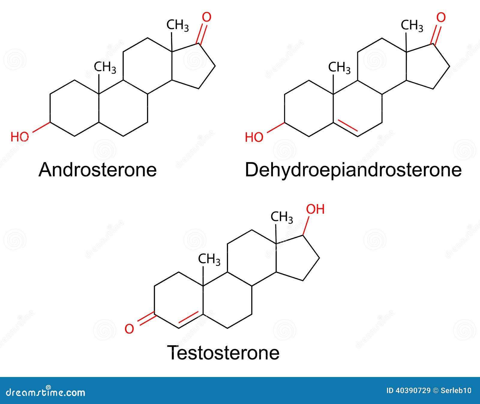 structural formulas of male sex hormones with marked variable fragments