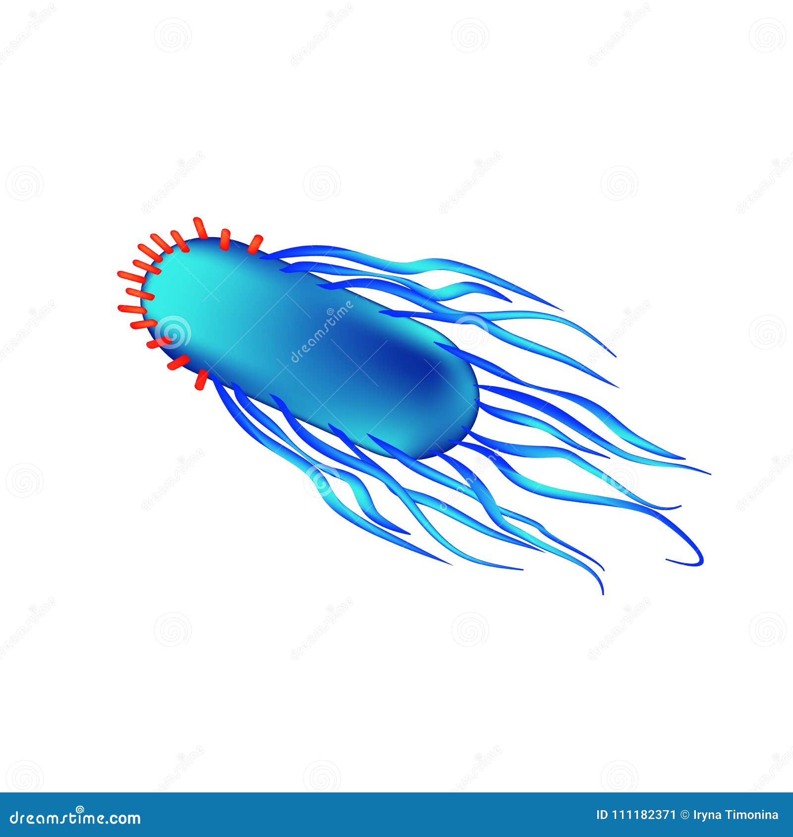 Salmonella Contaminated Food Cartoon Vector | CartoonDealer.com #100076233