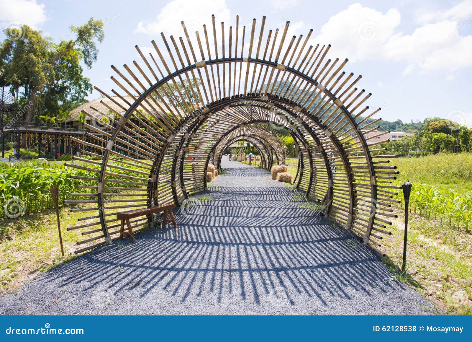  Structure En Bambou  De Tunnel Dans Le Jardin Photo stock 