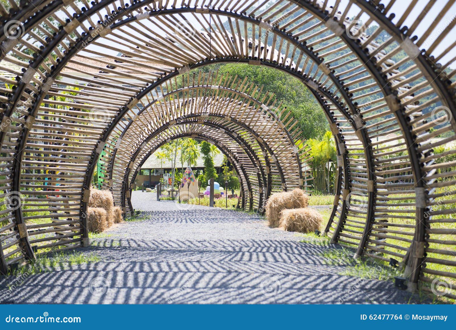  Structure En Bambou  De Tunnel Dans Le Jardin Photo stock 