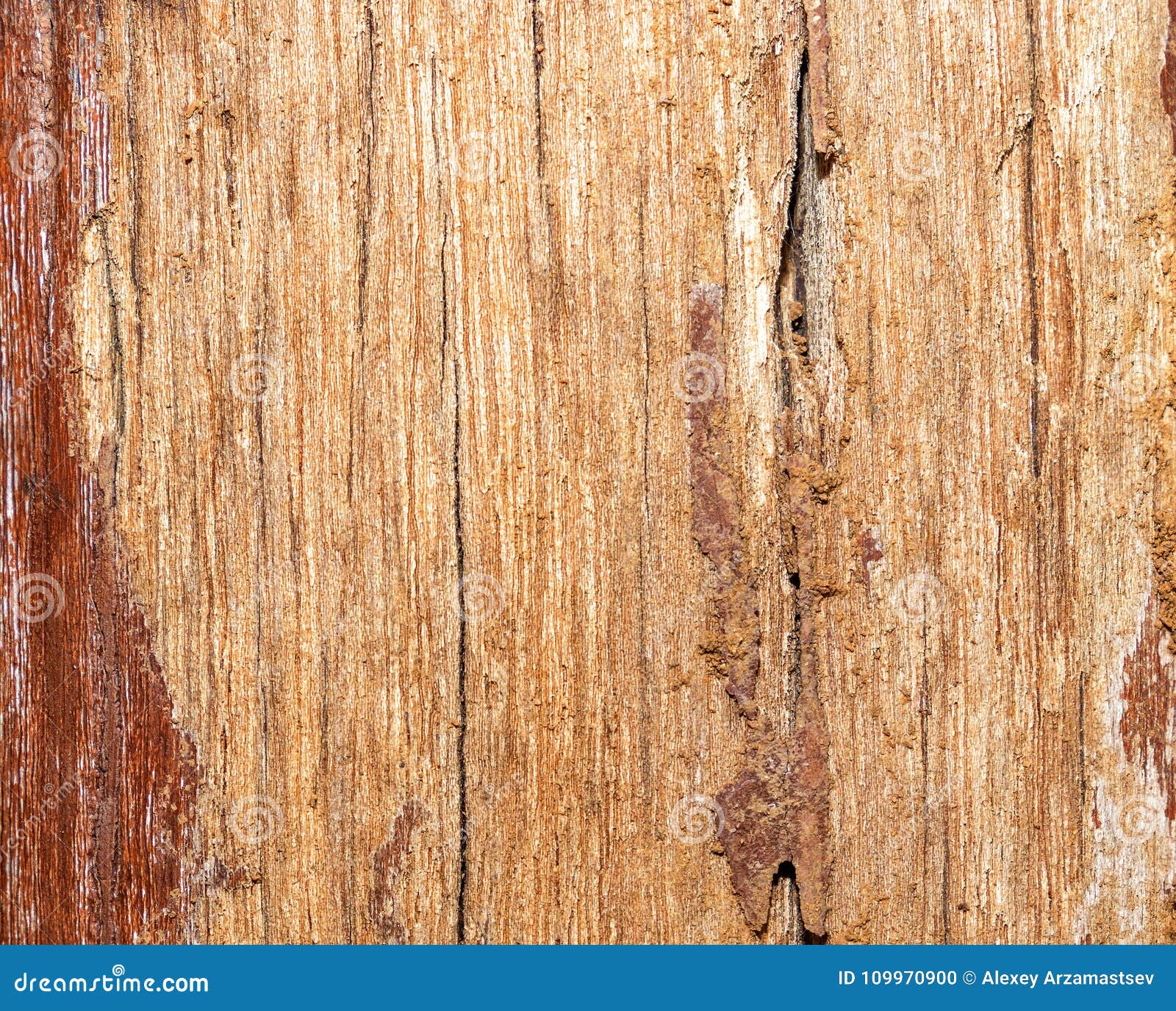 Structure of an Old Planed Board with Traces of Paint and Dirt. Wood