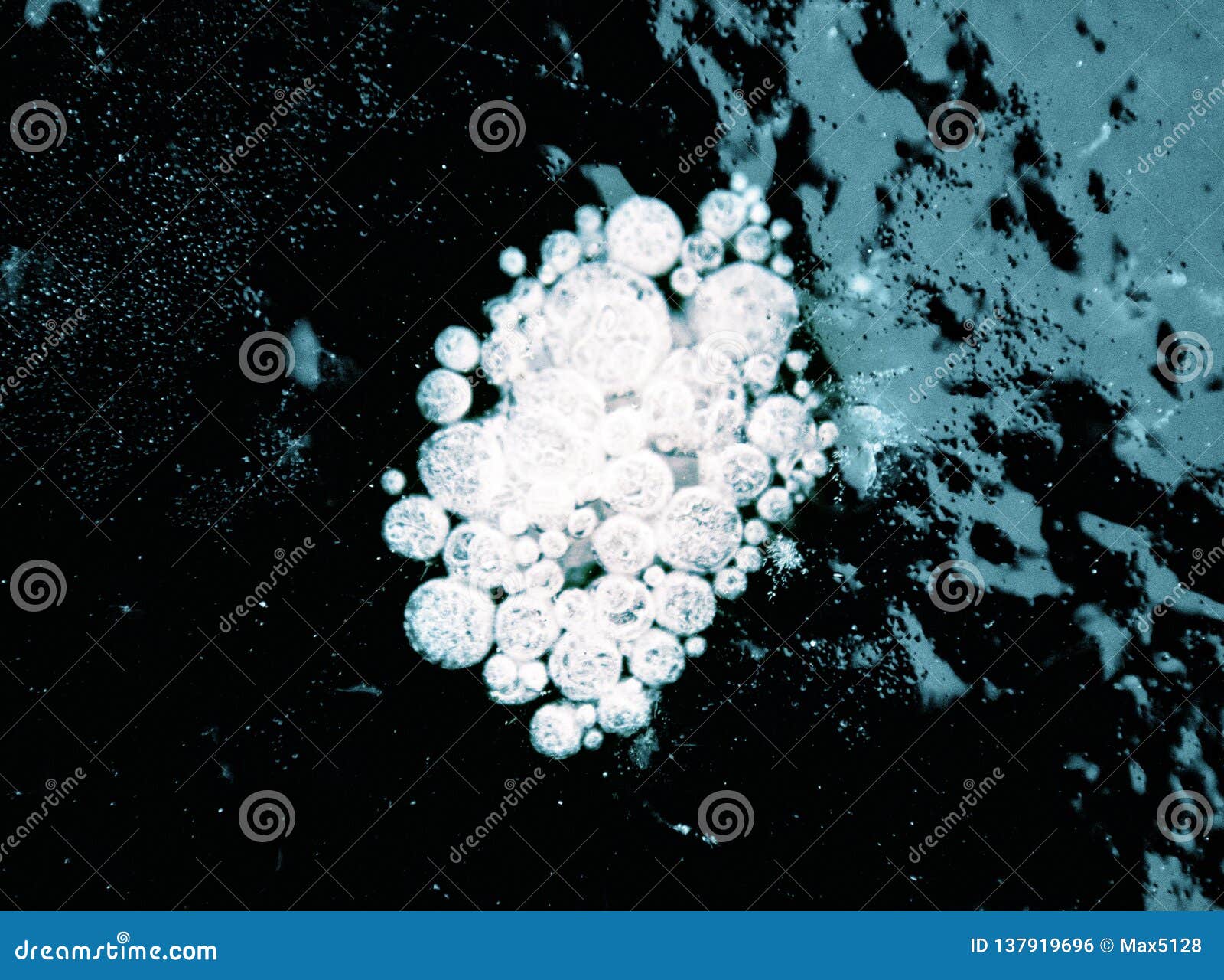 Structure, Pattern and Crystals of Newly Formed Ice Stock Photo Image