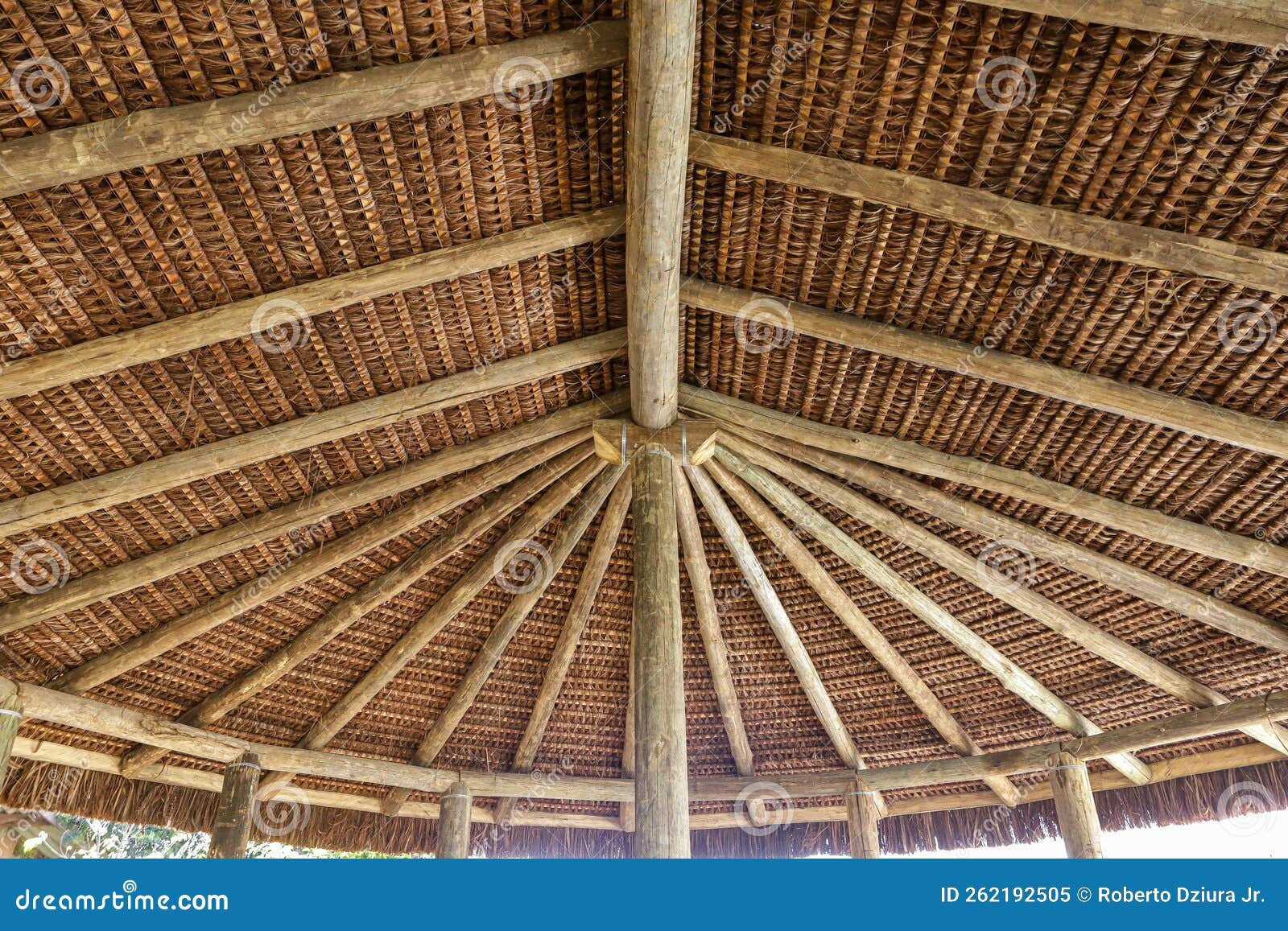 structure of a roof with piassava