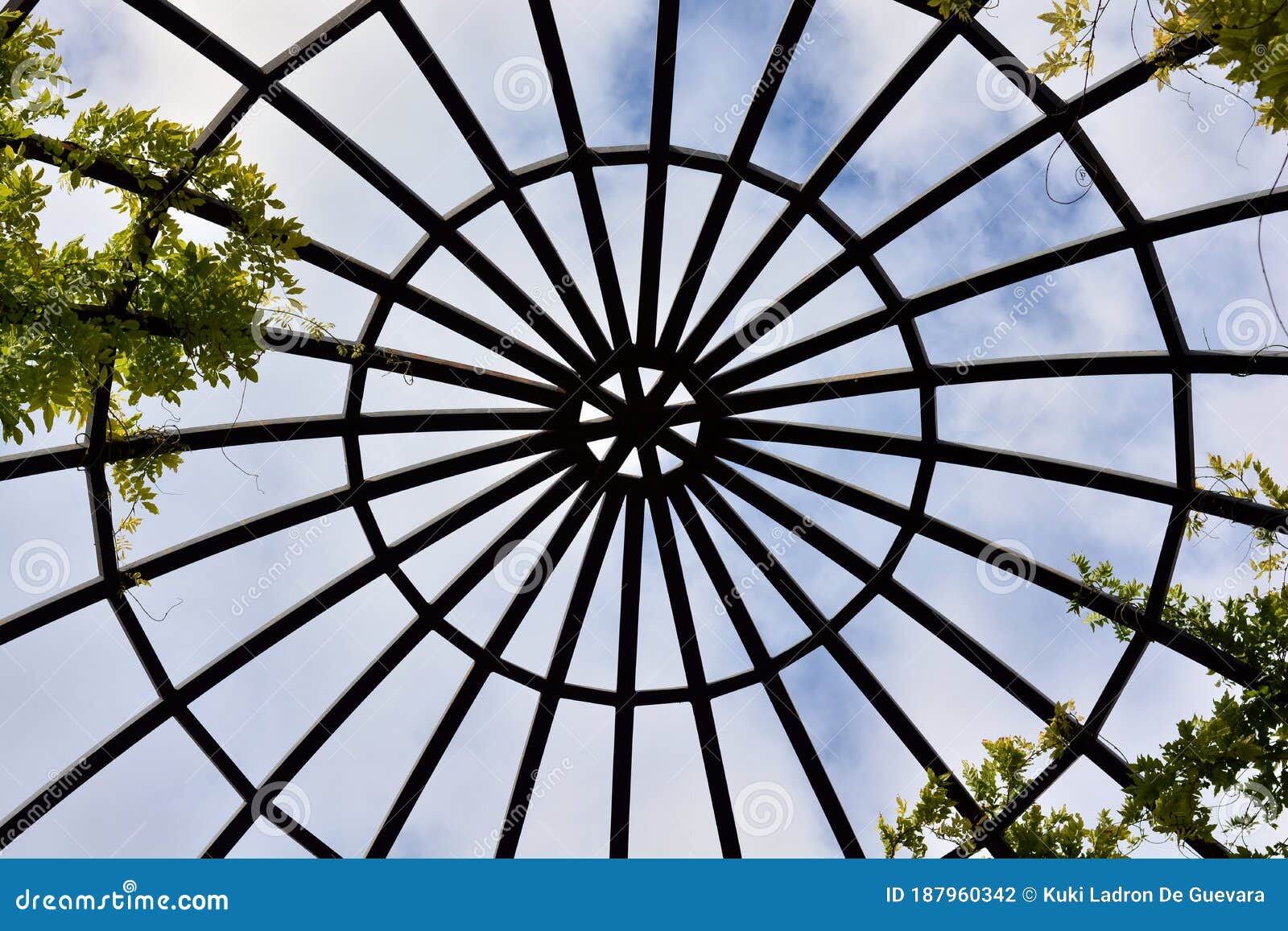 structure of a steel dome