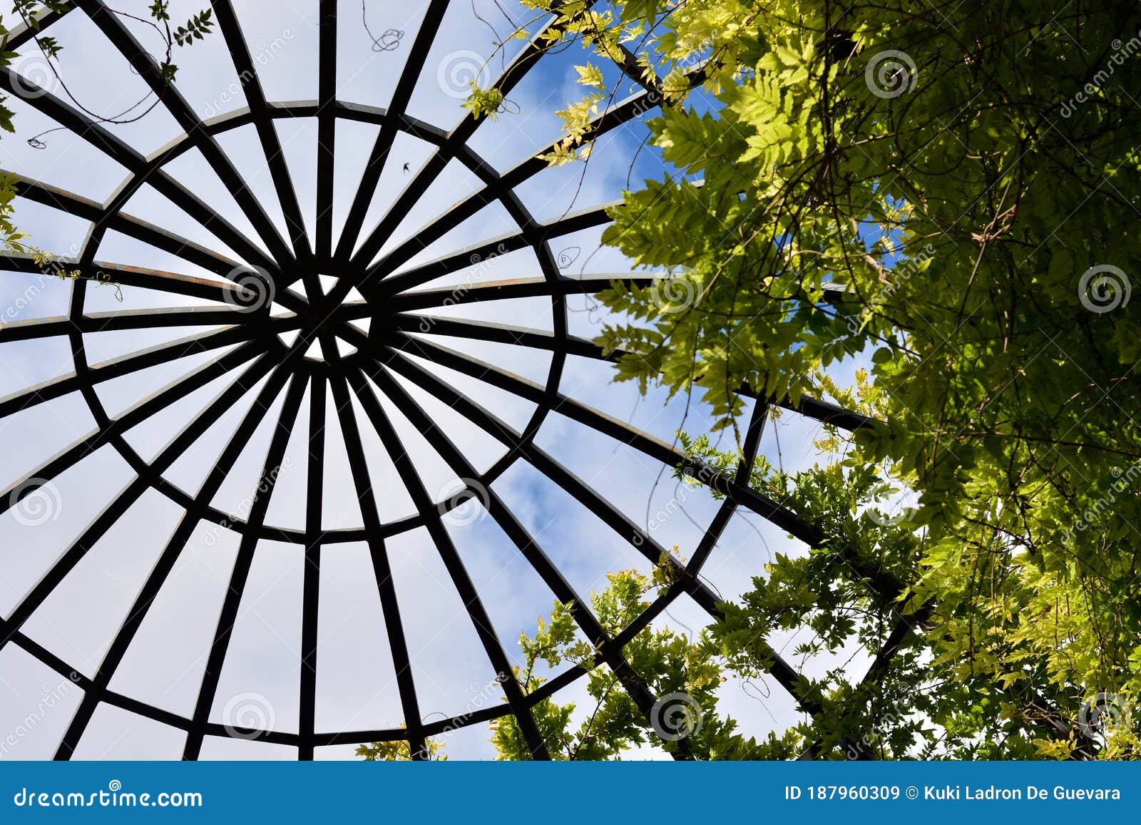 structure of a steel dome