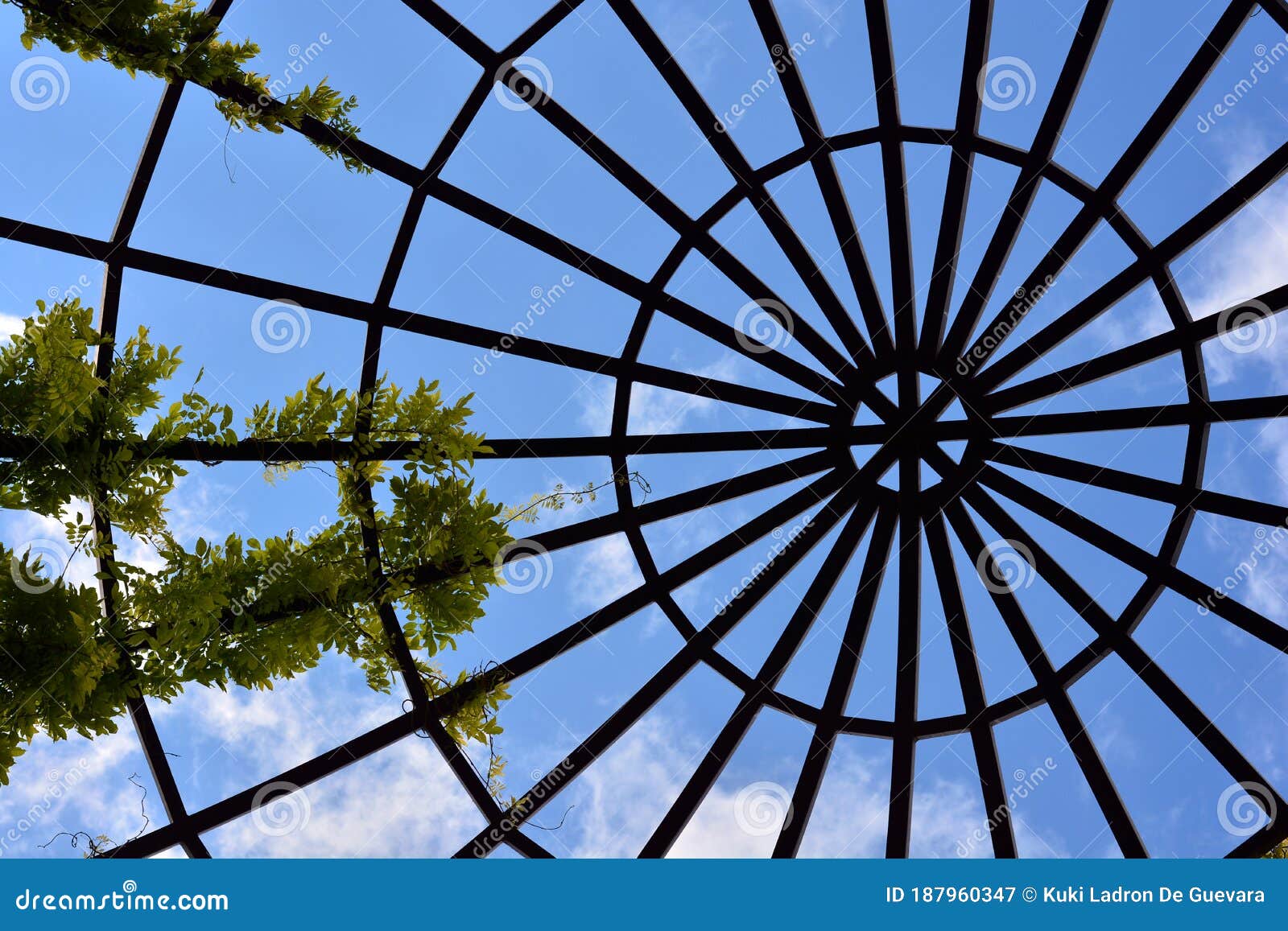 structure of a steel dome