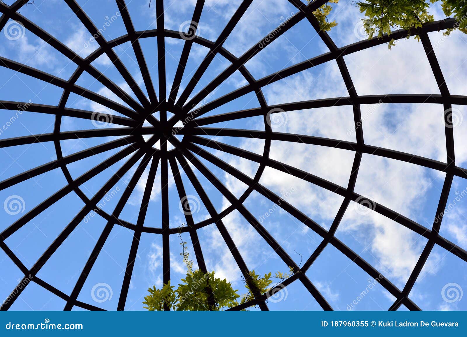 structure of a steel dome