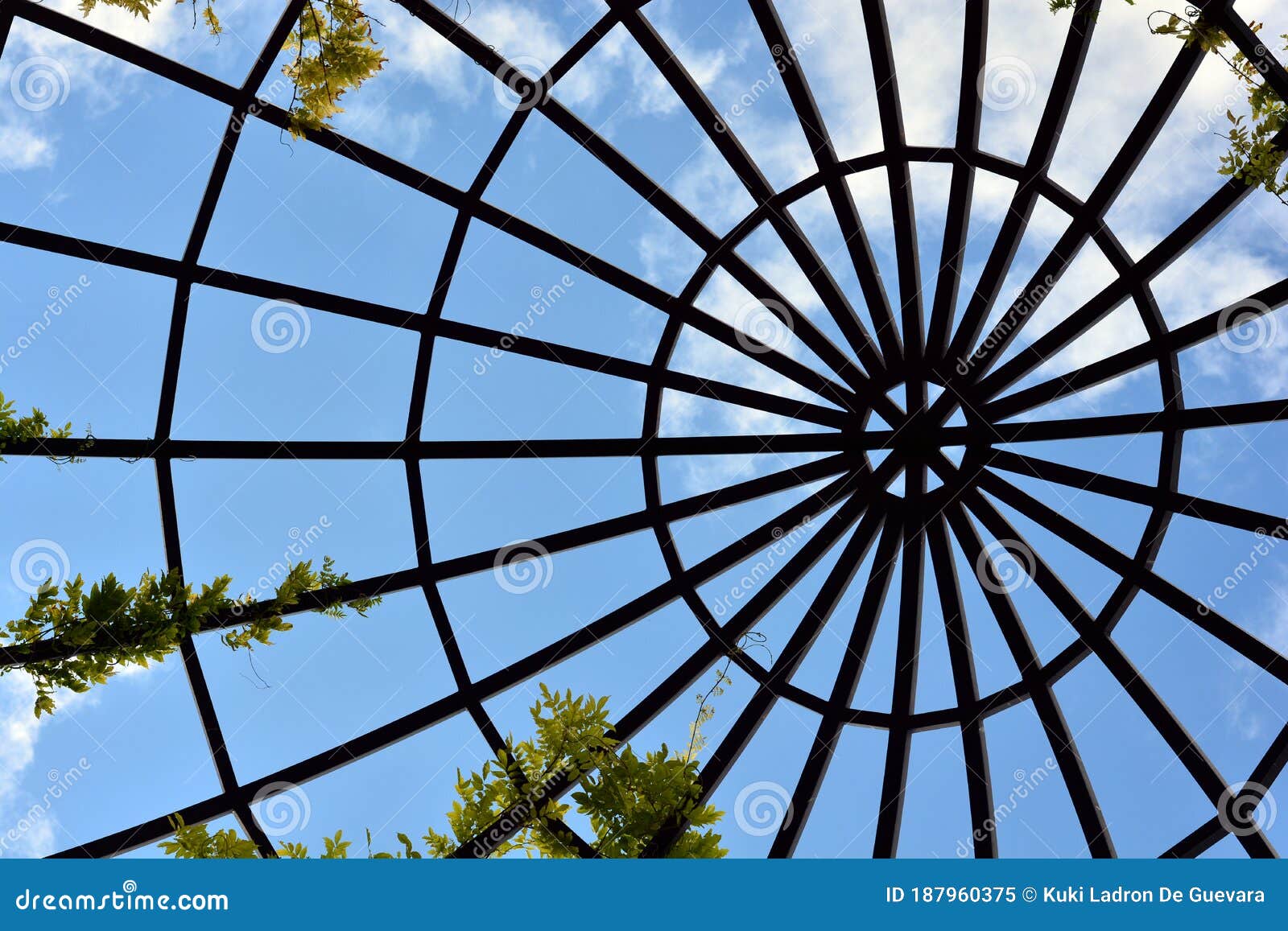 structure of a steel dome