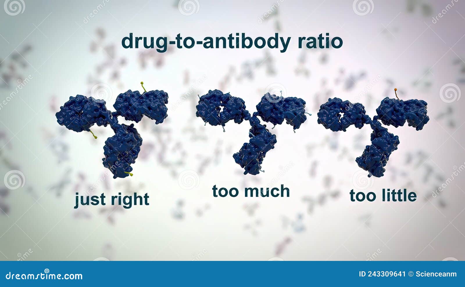 The Structure of a Typical Antibody Molecule.Antibodies and Amino Acids