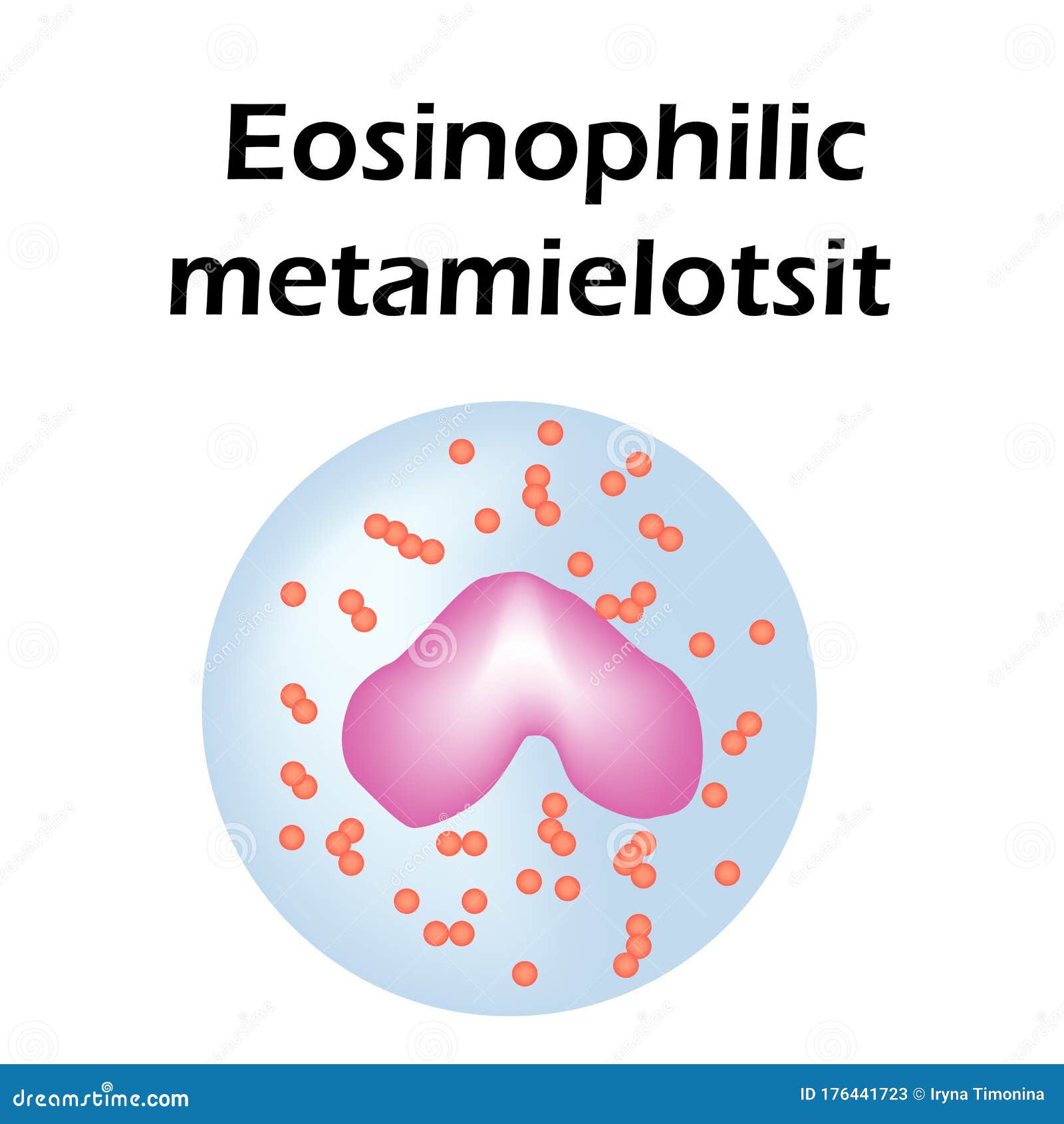 Taux de poly eosinophiles élevé